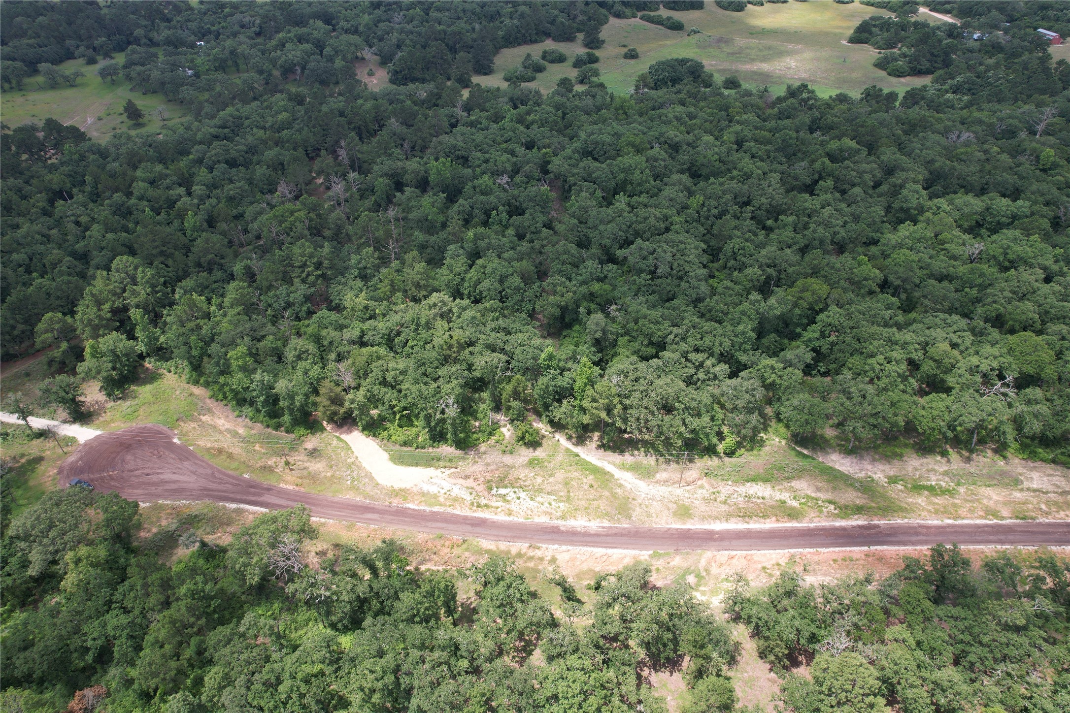 Tract 164 Private Road 1311, Centerville, TX, 75833 | 7740605 | Realty Texas LLC
