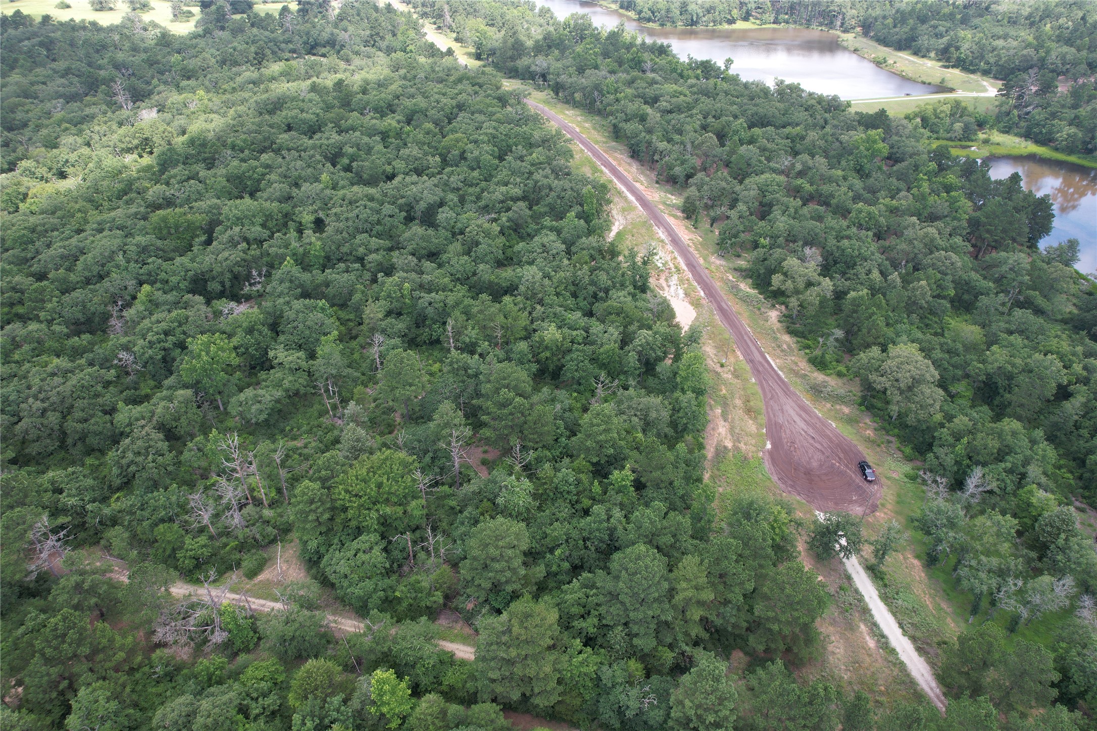 Tract 164 Private Road 1311, Centerville, TX, 75833 | 7740605 | Realty Texas LLC