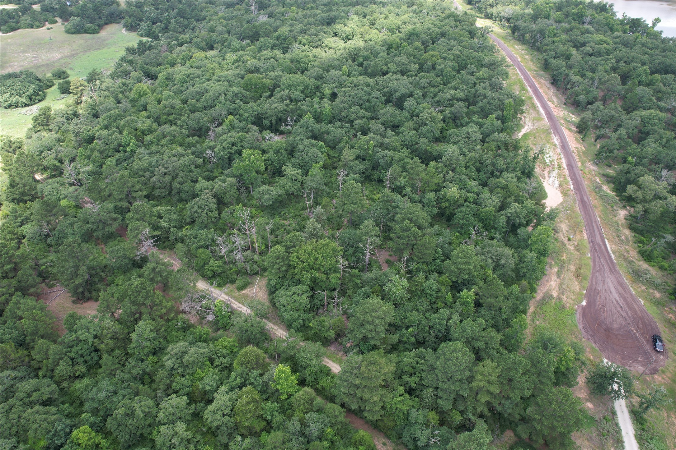 Tract 164 Private Road 1311, Centerville, TX, 75833 | 7740605 | Realty Texas LLC