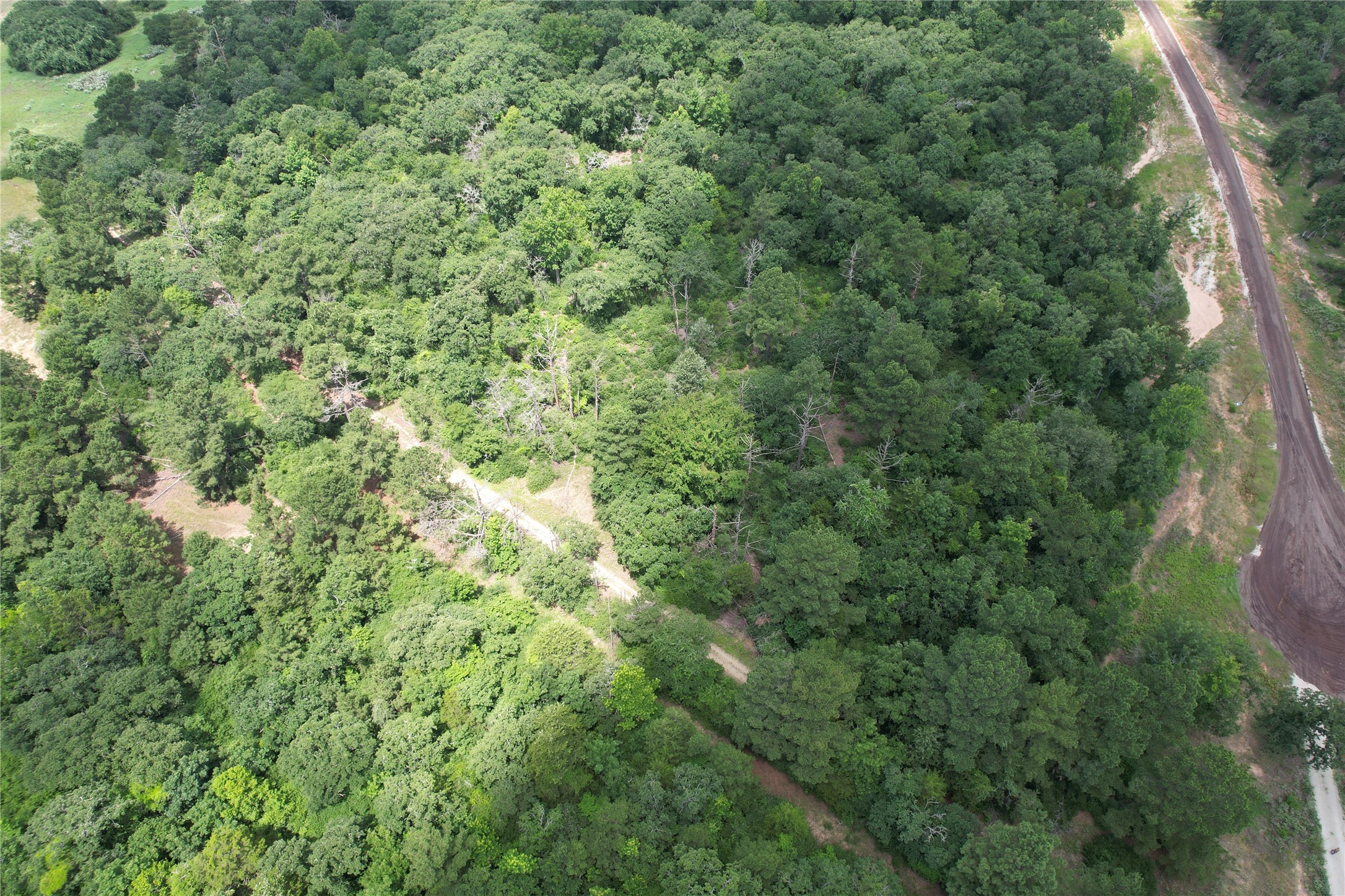 Tract 164 Private Road 1311, Centerville, TX, 75833 | 7740605 | Realty Texas LLC