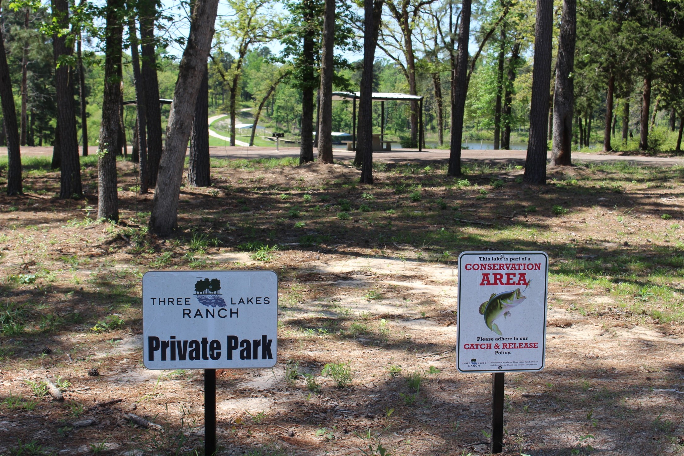 Tract 164 Private Road 1311, Centerville, TX, 75833 | 7740605 | Realty Texas LLC