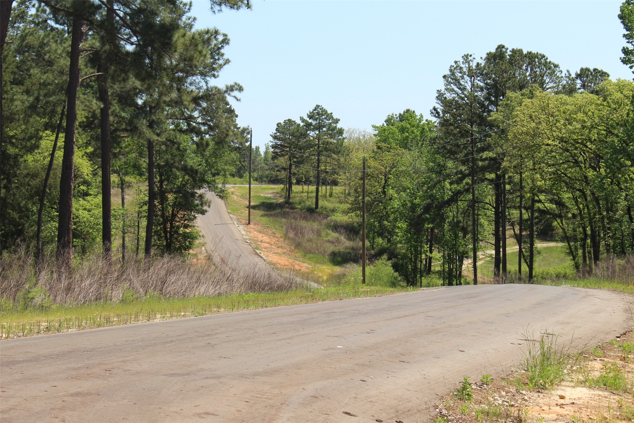 Tract 164 Private Road 1311, Centerville, TX, 75833 | 7740605 | Realty Texas LLC