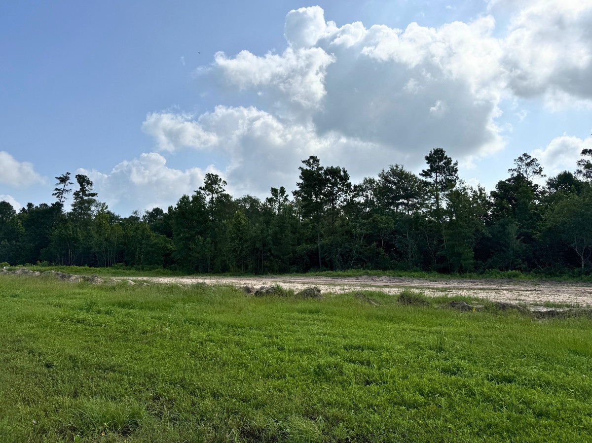 1 Dripping Vat Road, Huntsville, TX, 77340 | 92718677 | Realty Texas LLC
