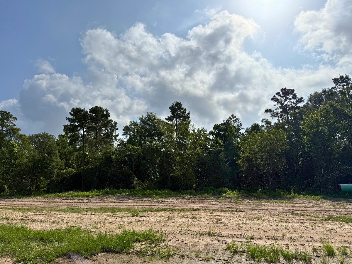 1 Dripping Vat Road, Huntsville, TX, 77340 | 92718677 | Realty Texas LLC