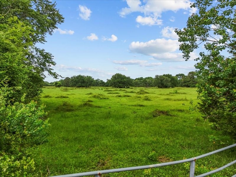0 Cr-392, Alvin, TX, 77511 | 89044463 | Realty Texas LLC