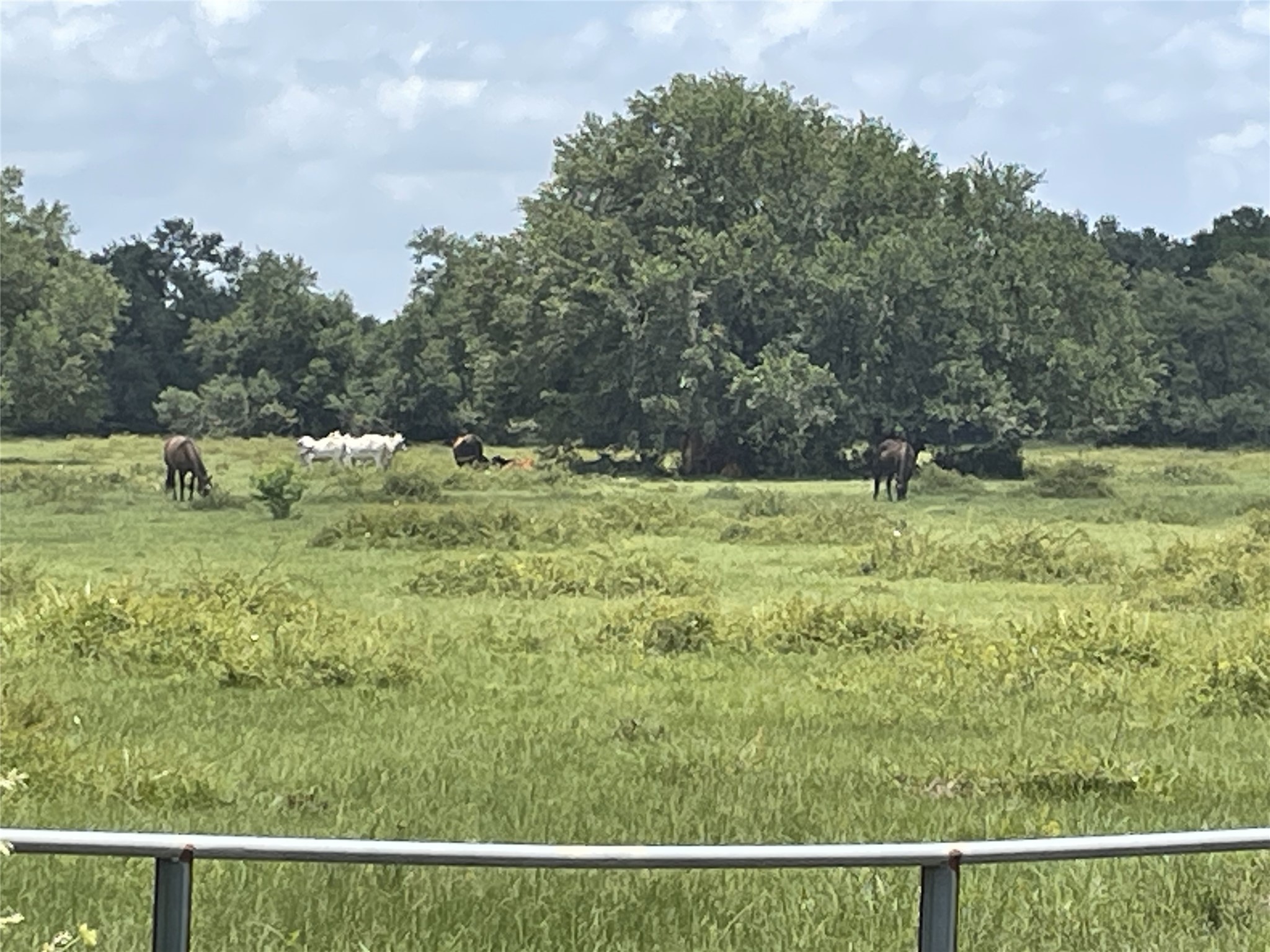 0 Cr-392, Alvin, TX, 77511 | 89044463 | Realty Texas LLC