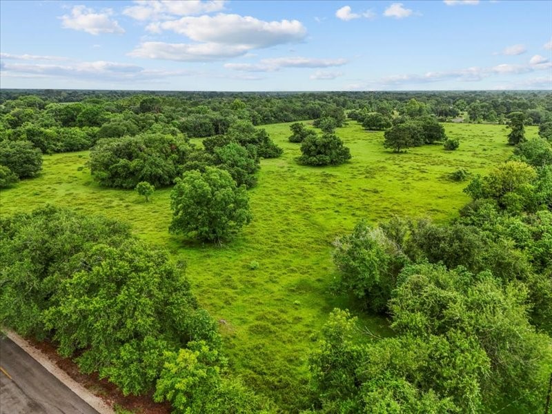 0 Cr-392, Alvin, TX, 77511 | 89044463 | Realty Texas LLC