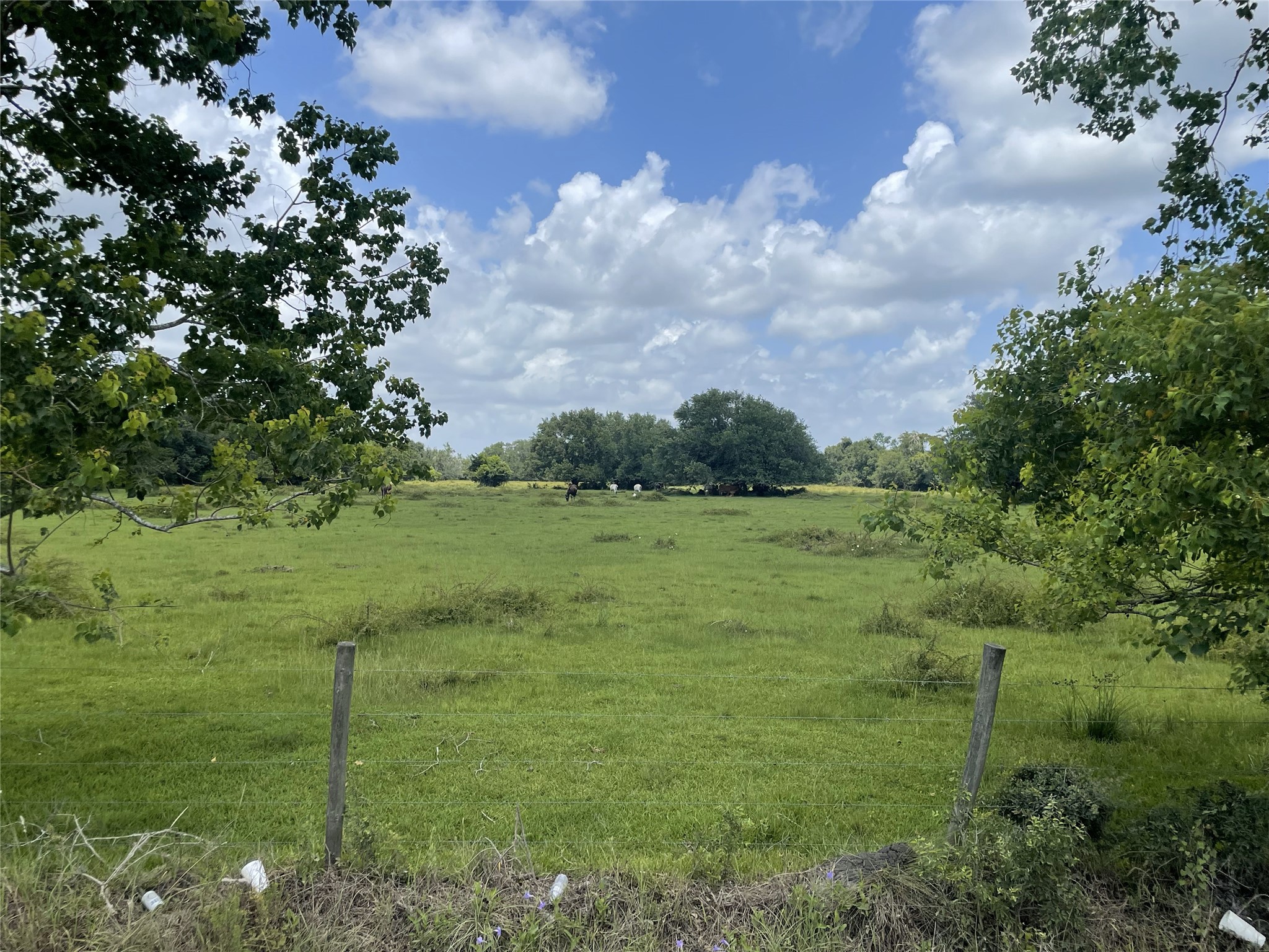 0 Cr-392, Alvin, TX, 77511 | 89044463 | Realty Texas LLC