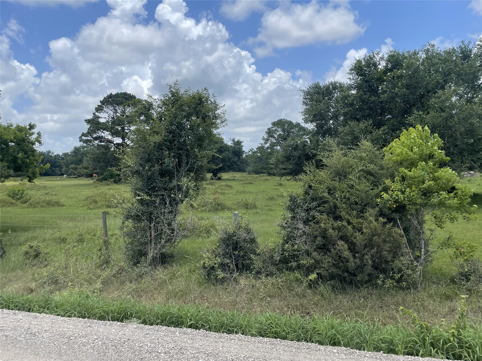 0 Cr-392, Alvin, TX, 77511 | 89044463 | Realty Texas LLC