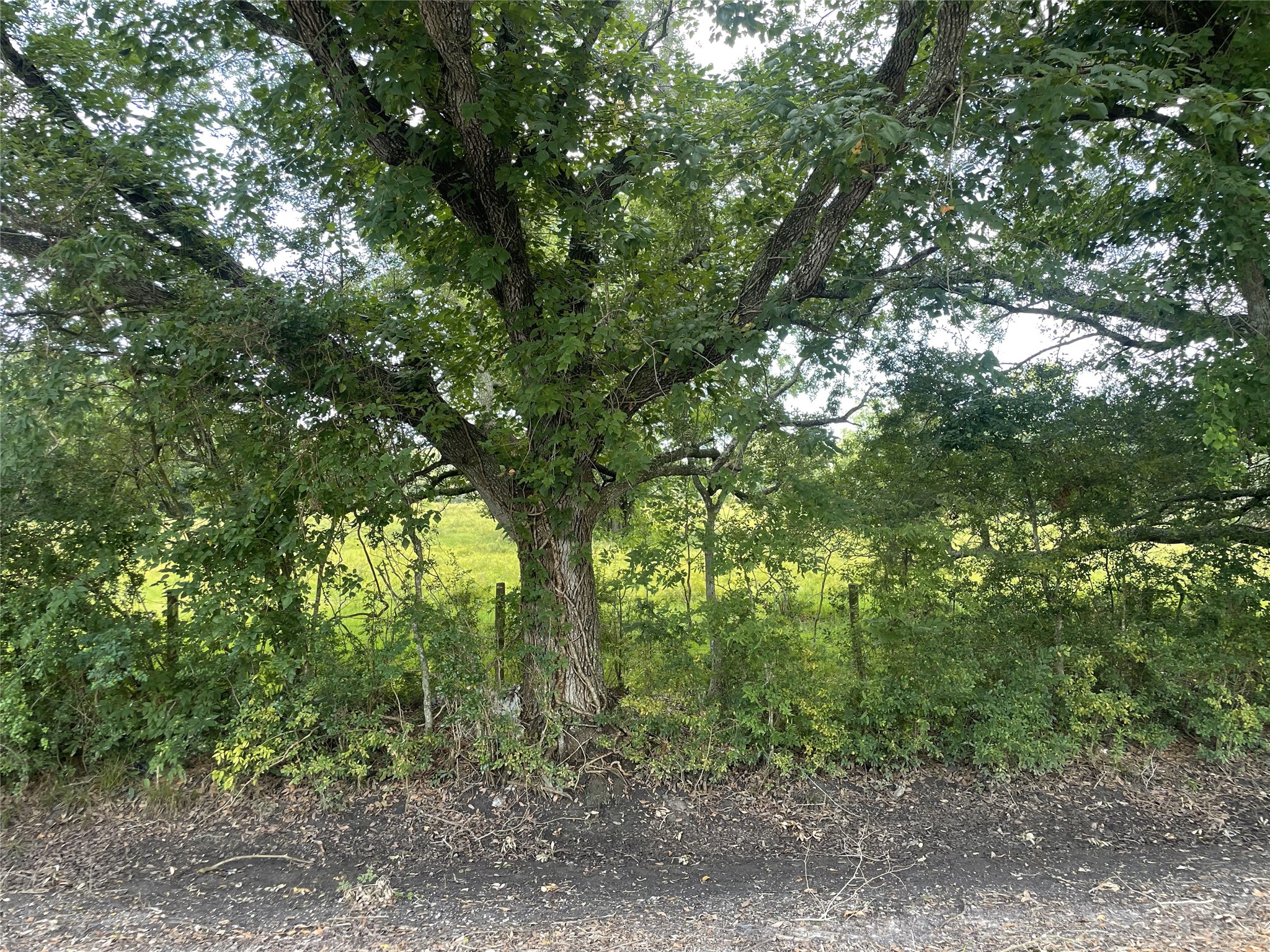 0 Cr-392, Alvin, TX, 77511 | 89044463 | Realty Texas LLC