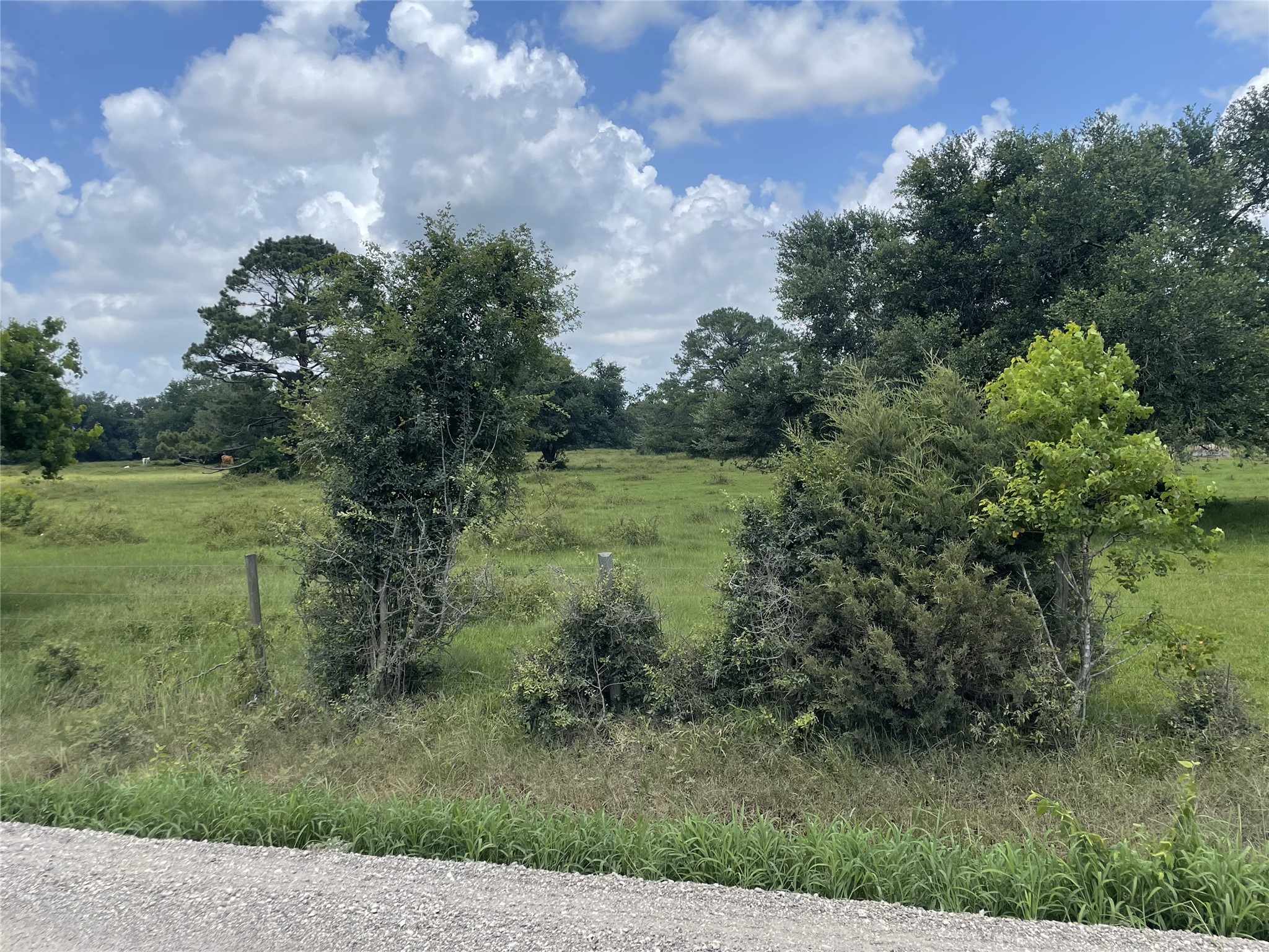0 Cr-392, Alvin, TX, 77511 | 89044463 | Realty Texas LLC