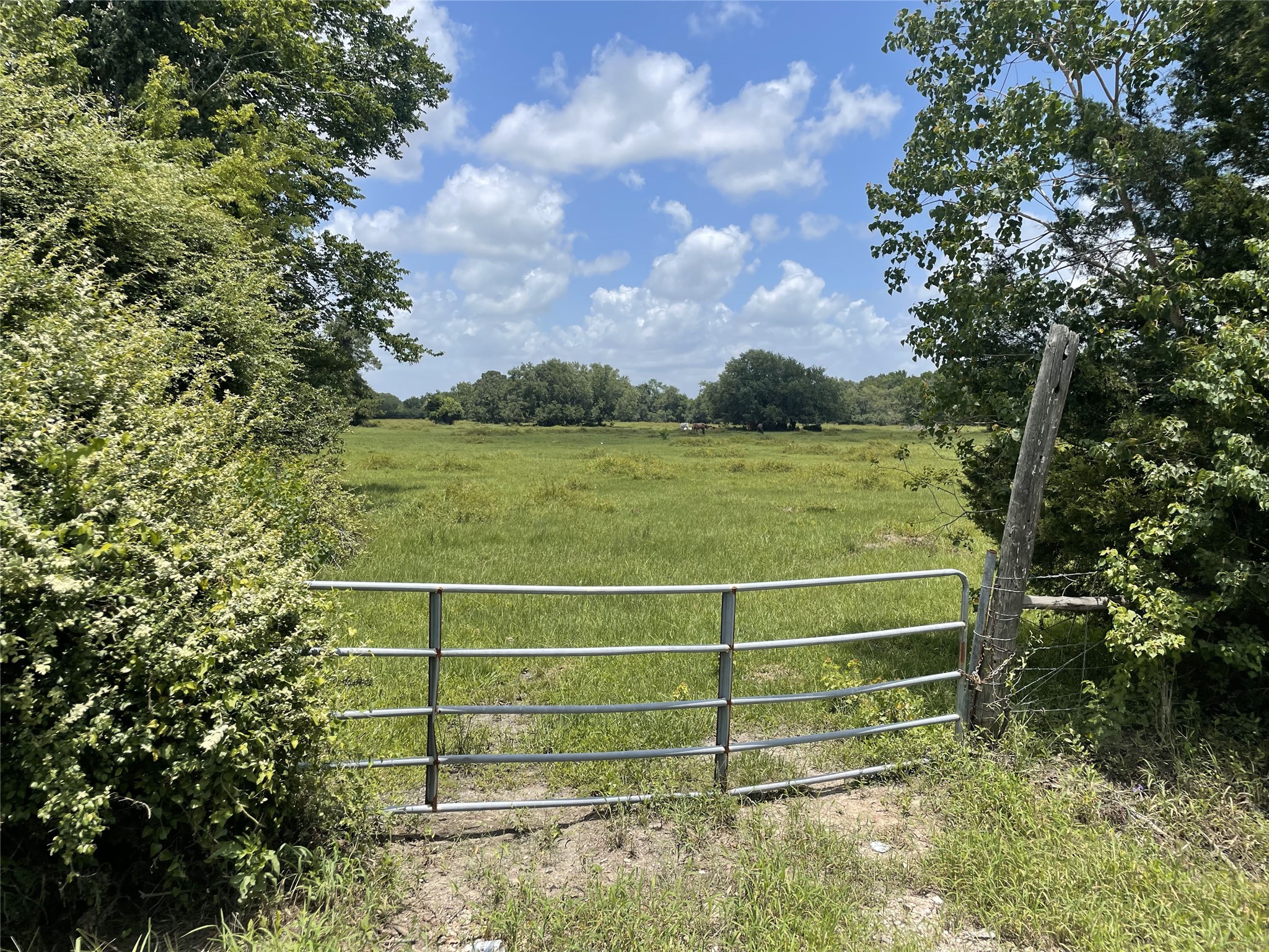 0 Cr-392, Alvin, TX, 77511 | 89044463 | Realty Texas LLC