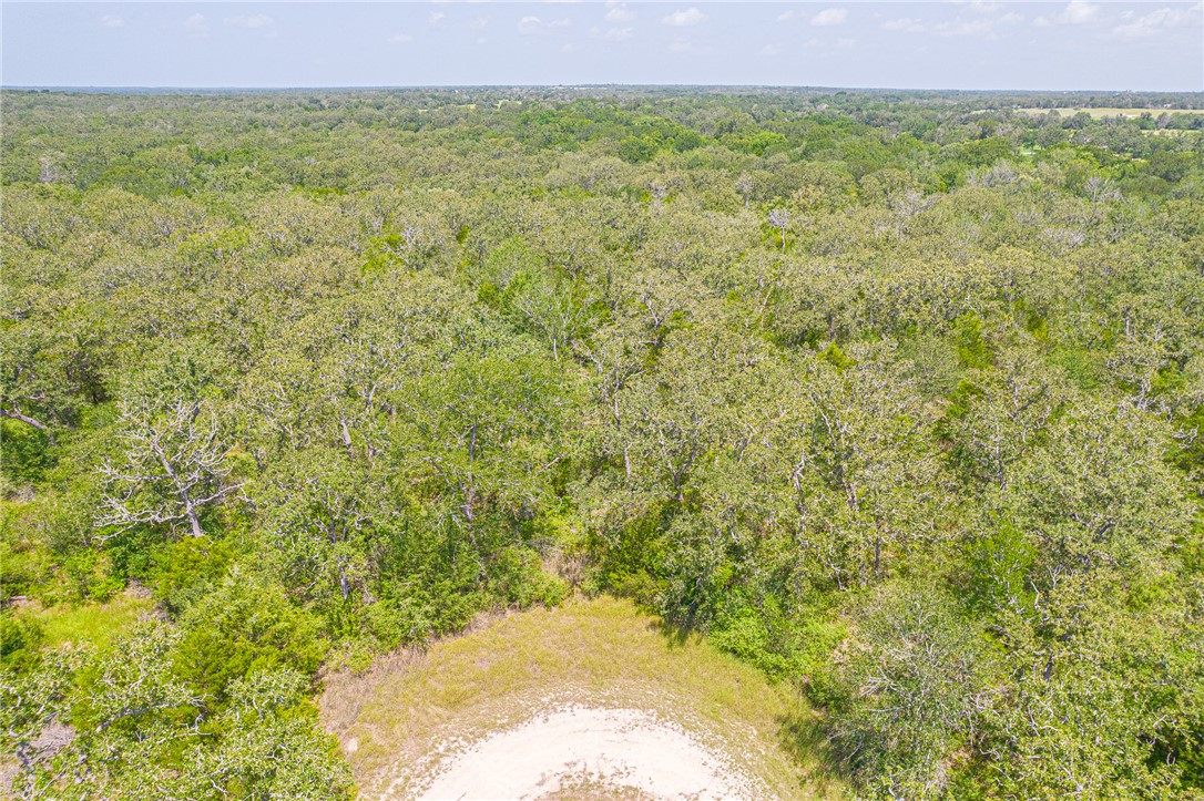 110/111 Hardwood Lane, Somerville, TX, 77093 | 25007182 | Realty Texas LLC
