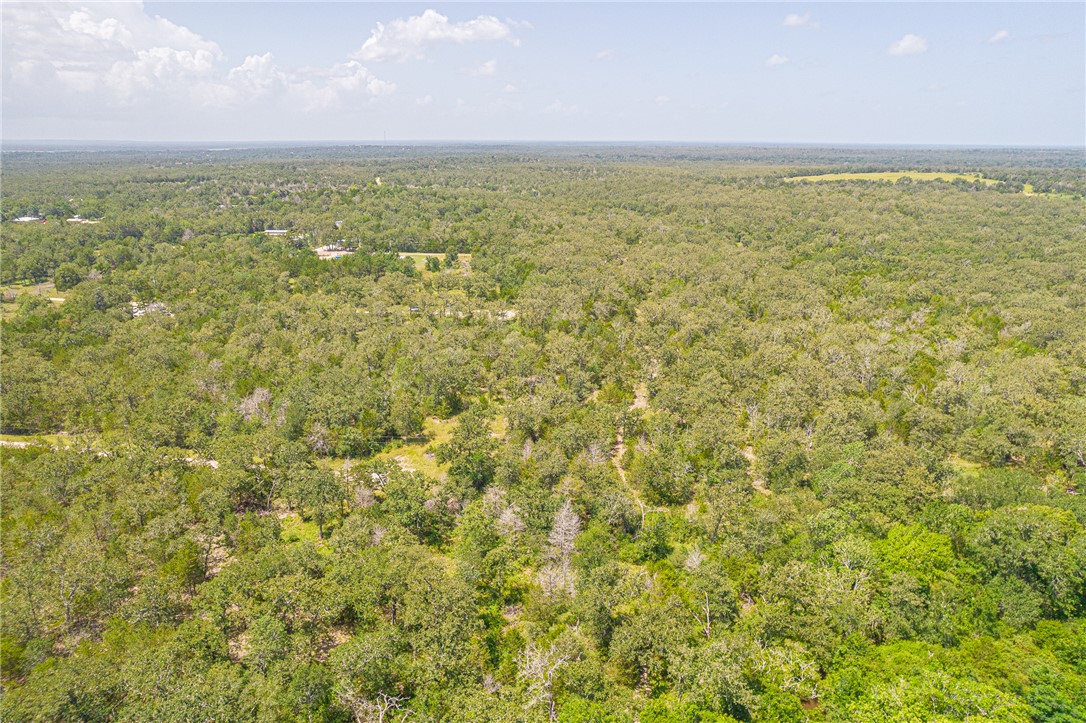 110/111 Hardwood Lane, Somerville, TX, 77093 | 25007182 | Realty Texas LLC