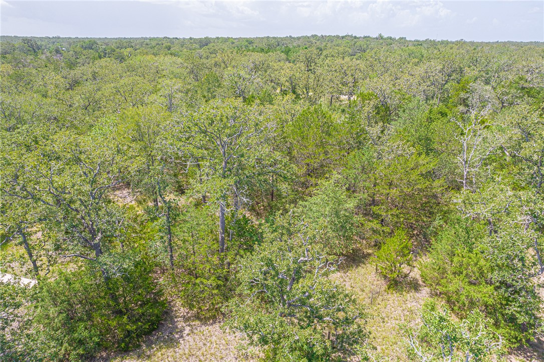 110/111 Hardwood Lane, Somerville, TX, 77093 | 25007182 | Realty Texas LLC