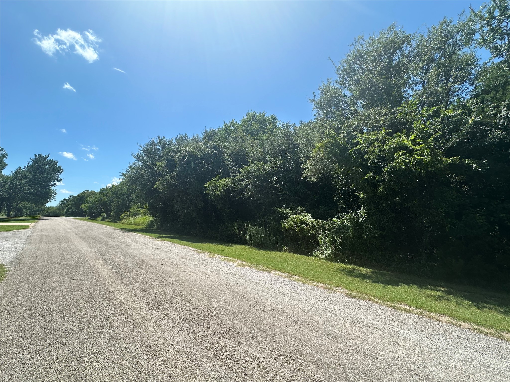 38049 Brookside Drive, Whitney, TX, 76692 | 20971836 | Realty Texas LLC