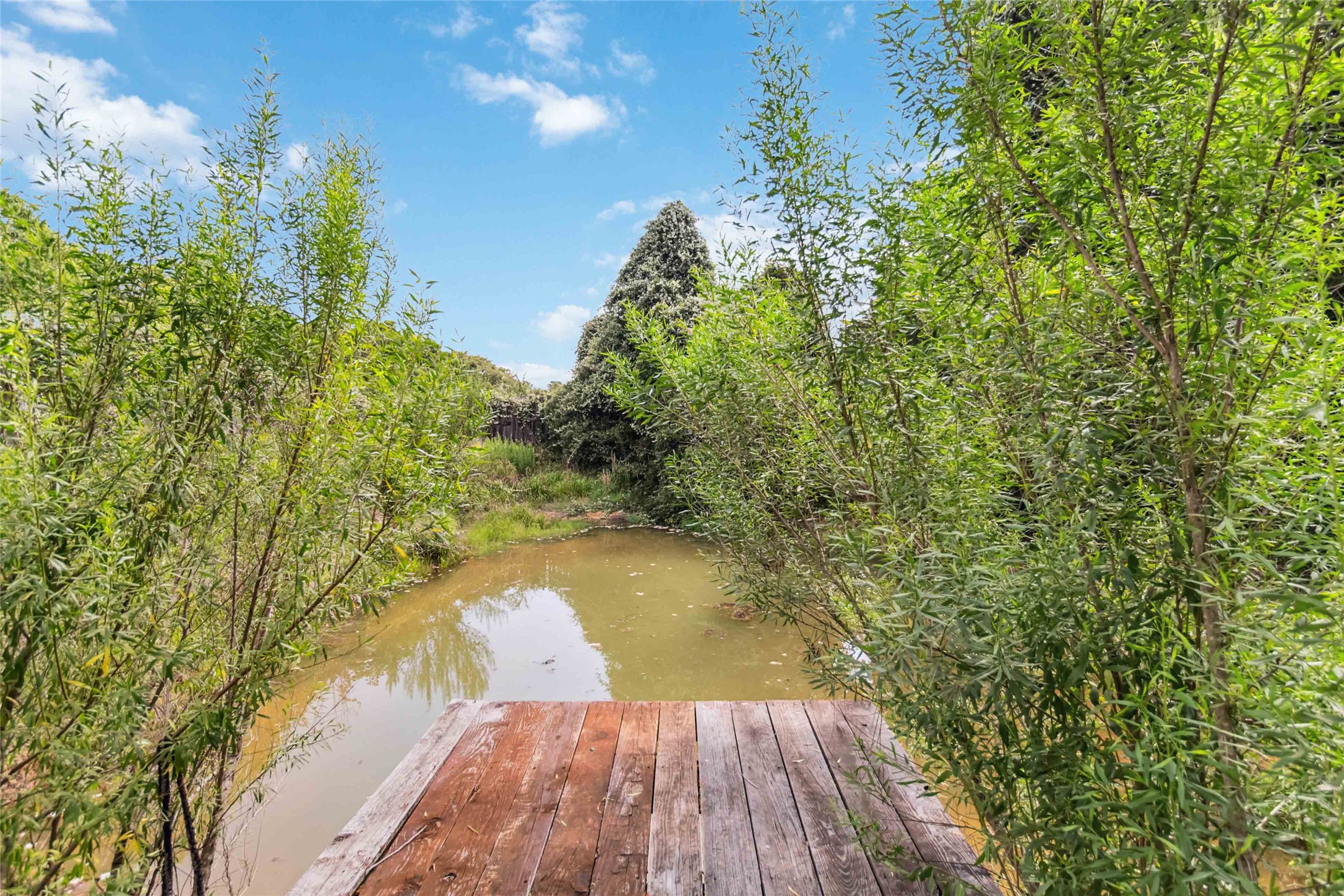 208 Old Potato RD, Paige, TX, 78659 | 8894211 | Realty Texas LLC