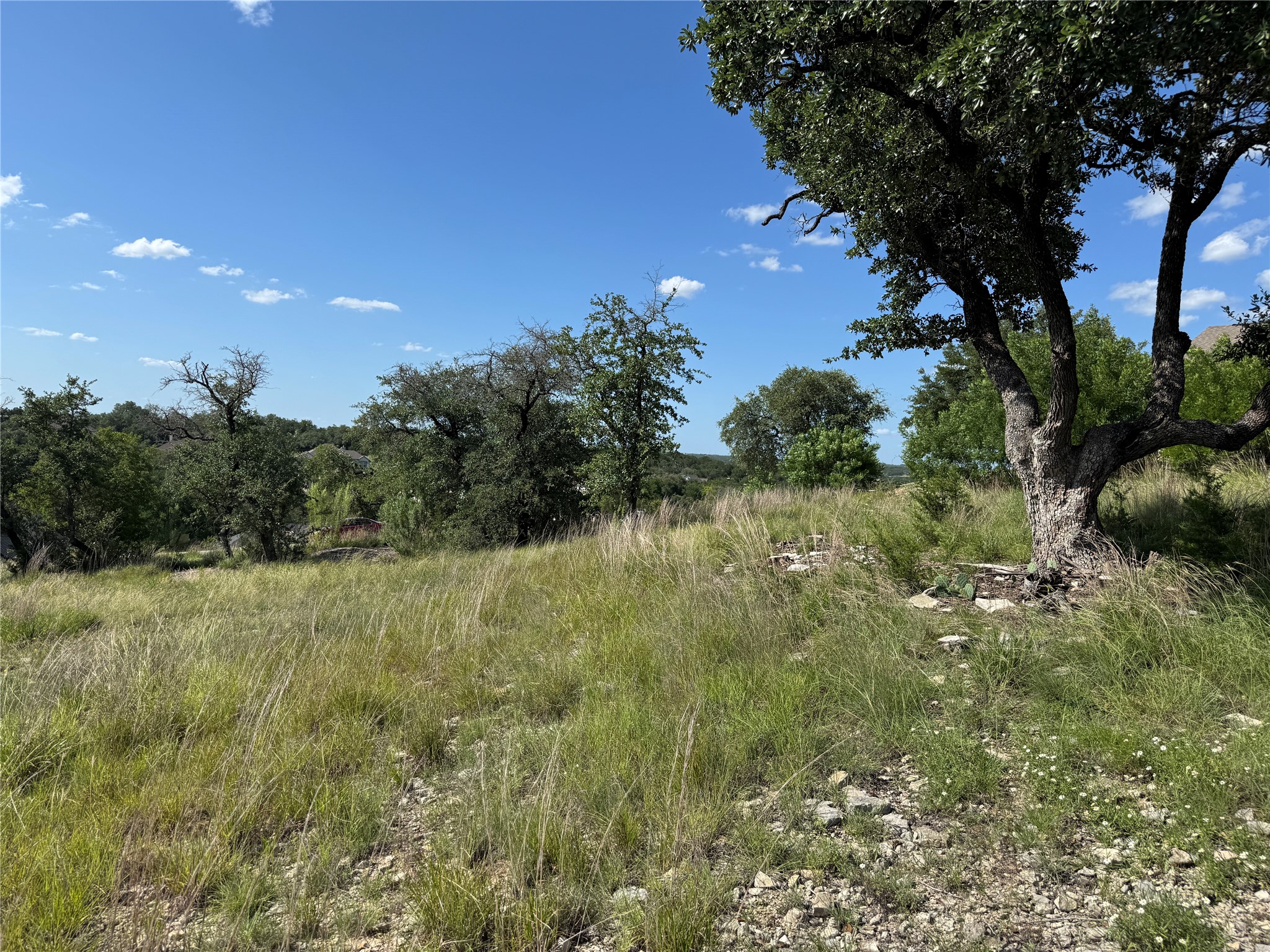 120 Taylor Creek WAY, Liberty Hill, TX, 78642 | 9448875 | Realty Texas LLC