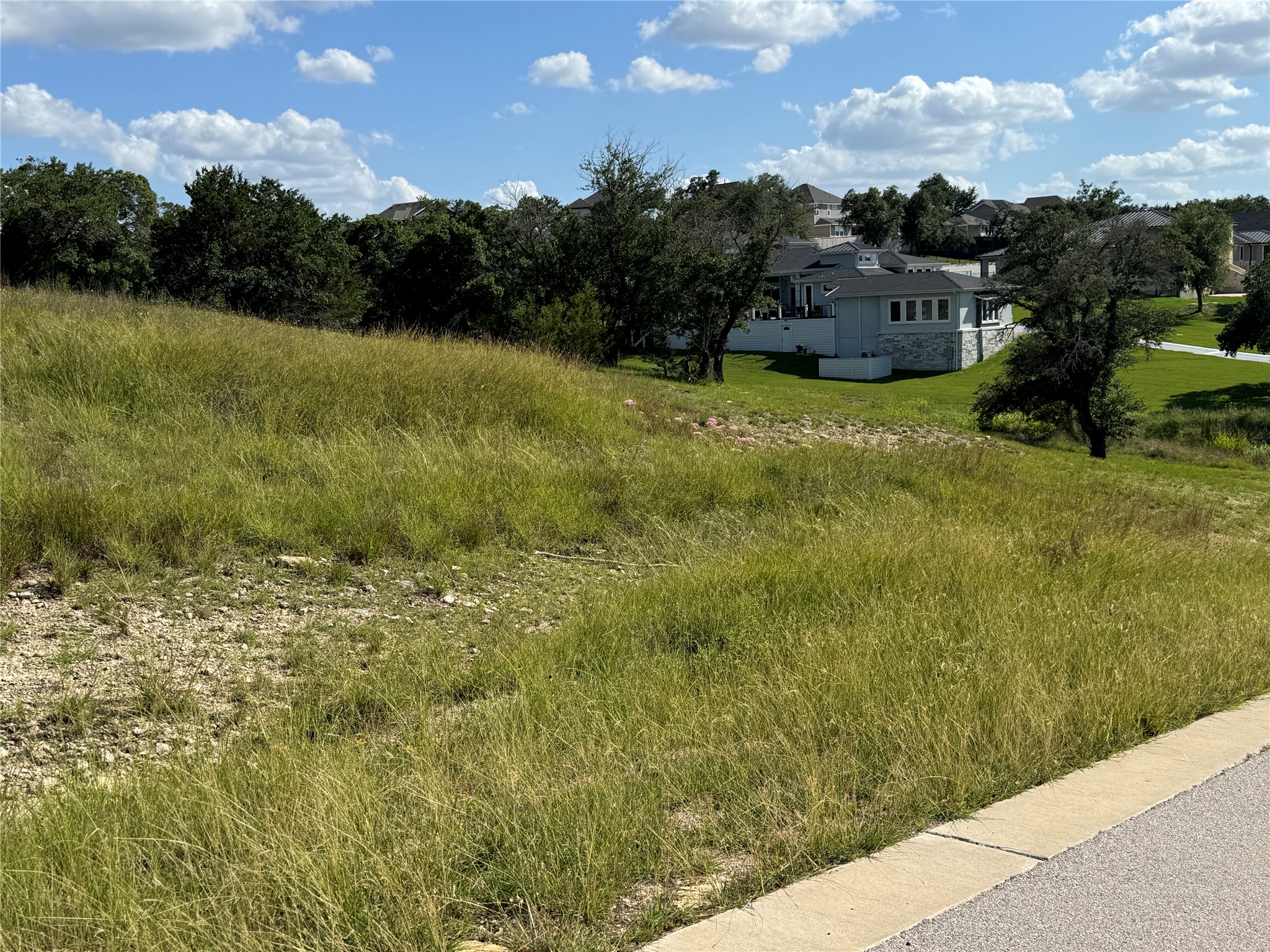 120 Taylor Creek WAY, Liberty Hill, TX, 78642 | 9448875 | Realty Texas LLC