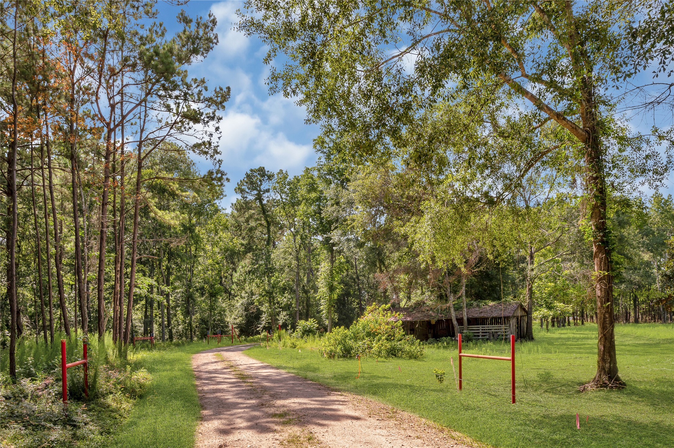 80 Road 3017b, Dayton, TX, 77535 | 94185903 | Realty Texas LLC
