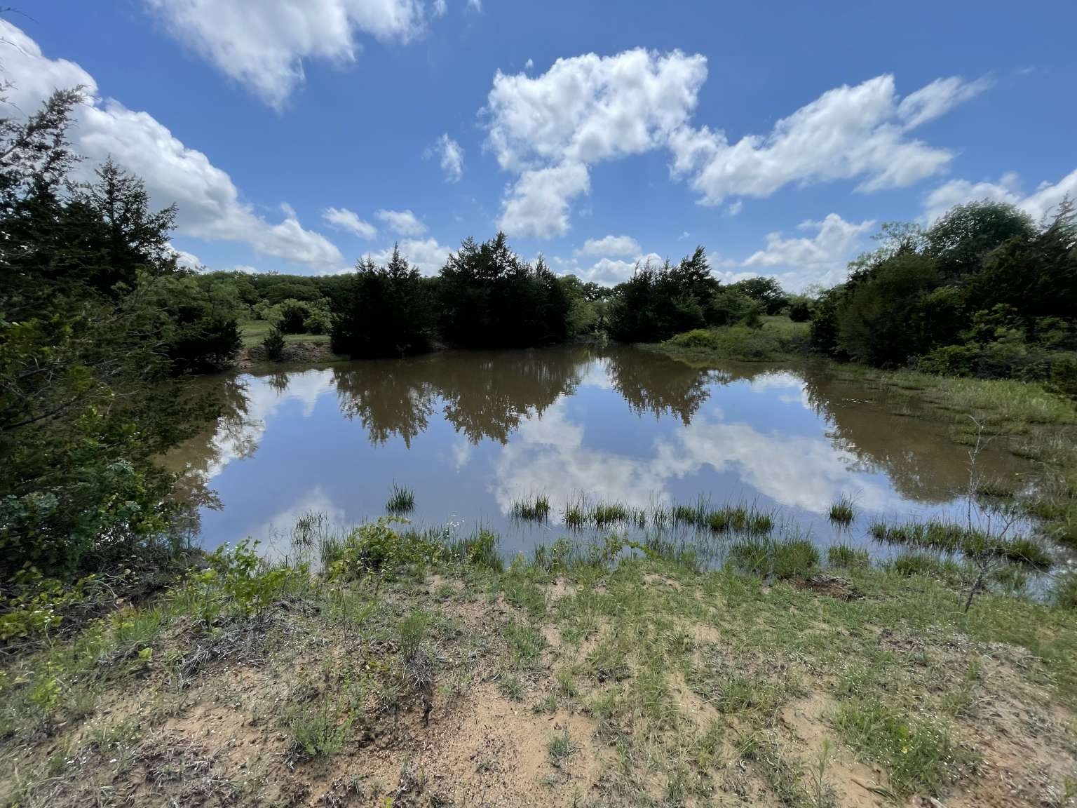 0 Cr-1990, Chico, TX, 76431 | 20978884 | Realty Texas LLC