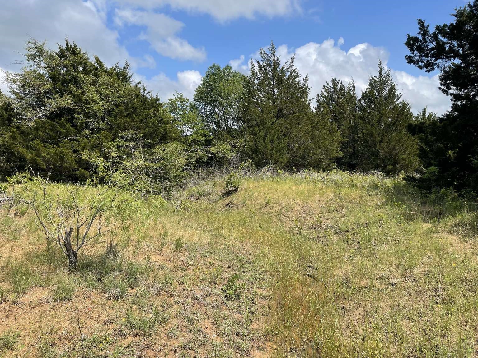 0 Cr-1990, Chico, TX, 76431 | 20978884 | Realty Texas LLC