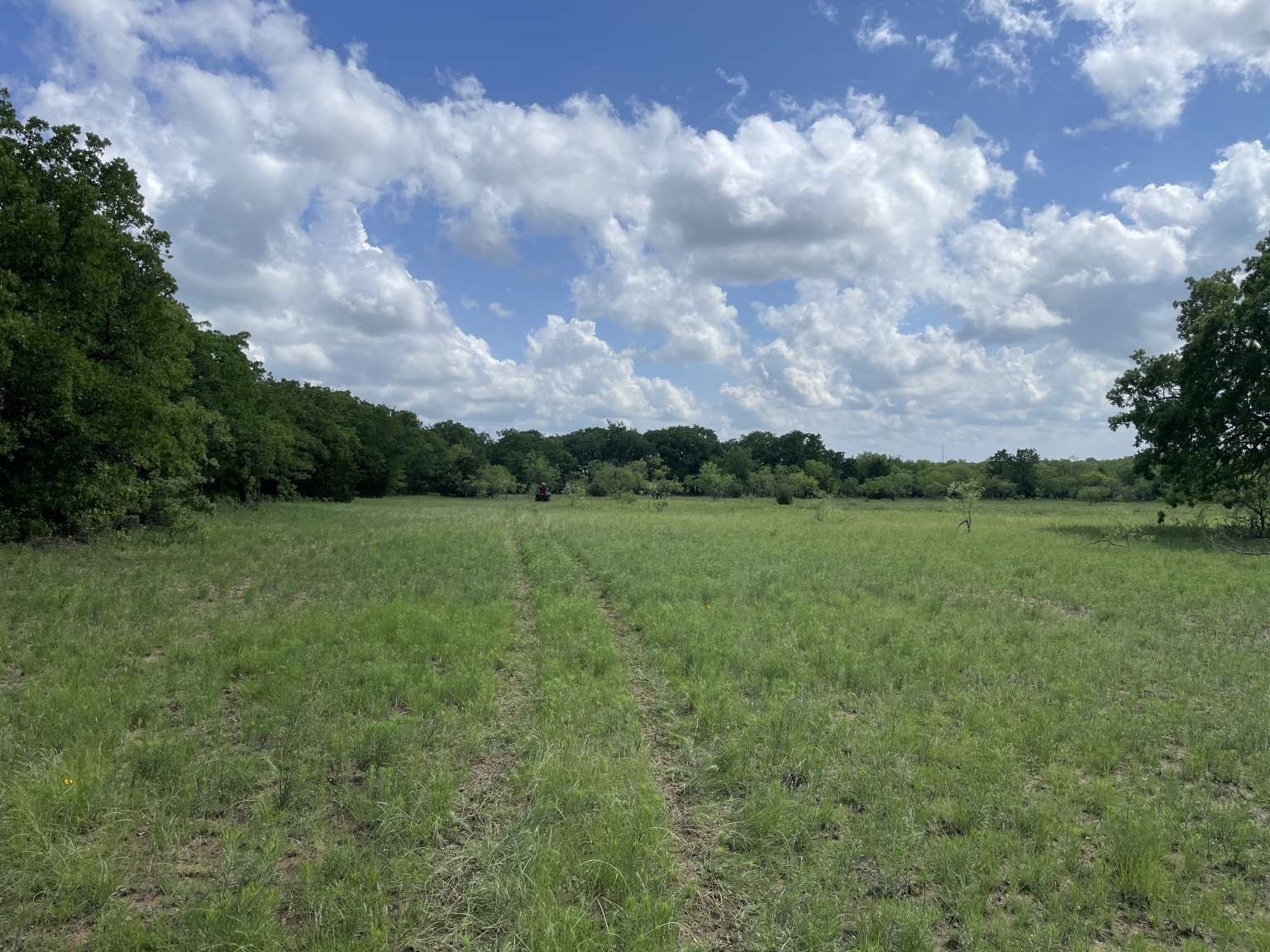 0 Cr-1990, Chico, TX, 76431 | 20978884 | Realty Texas LLC