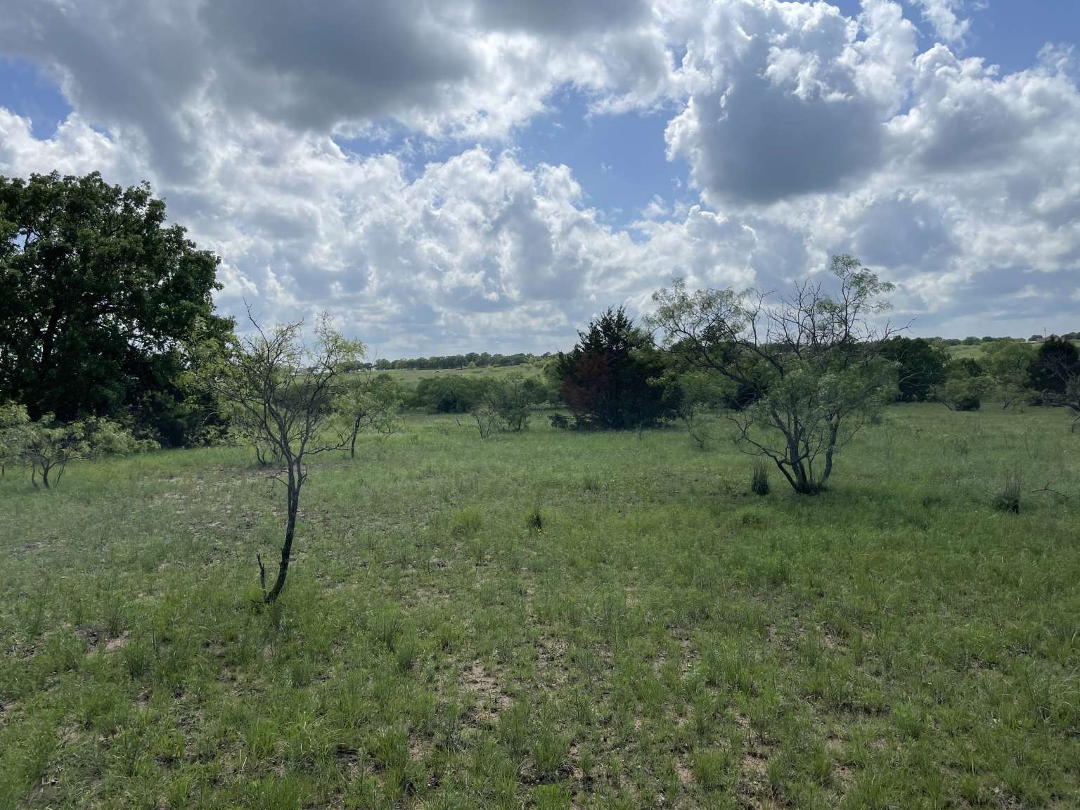 0 Cr-1990, Chico, TX, 76431 | 20978884 | Realty Texas LLC