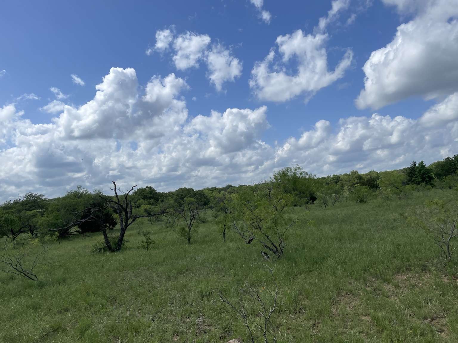 0 Cr-1990, Chico, TX, 76431 | 20978884 | Realty Texas LLC