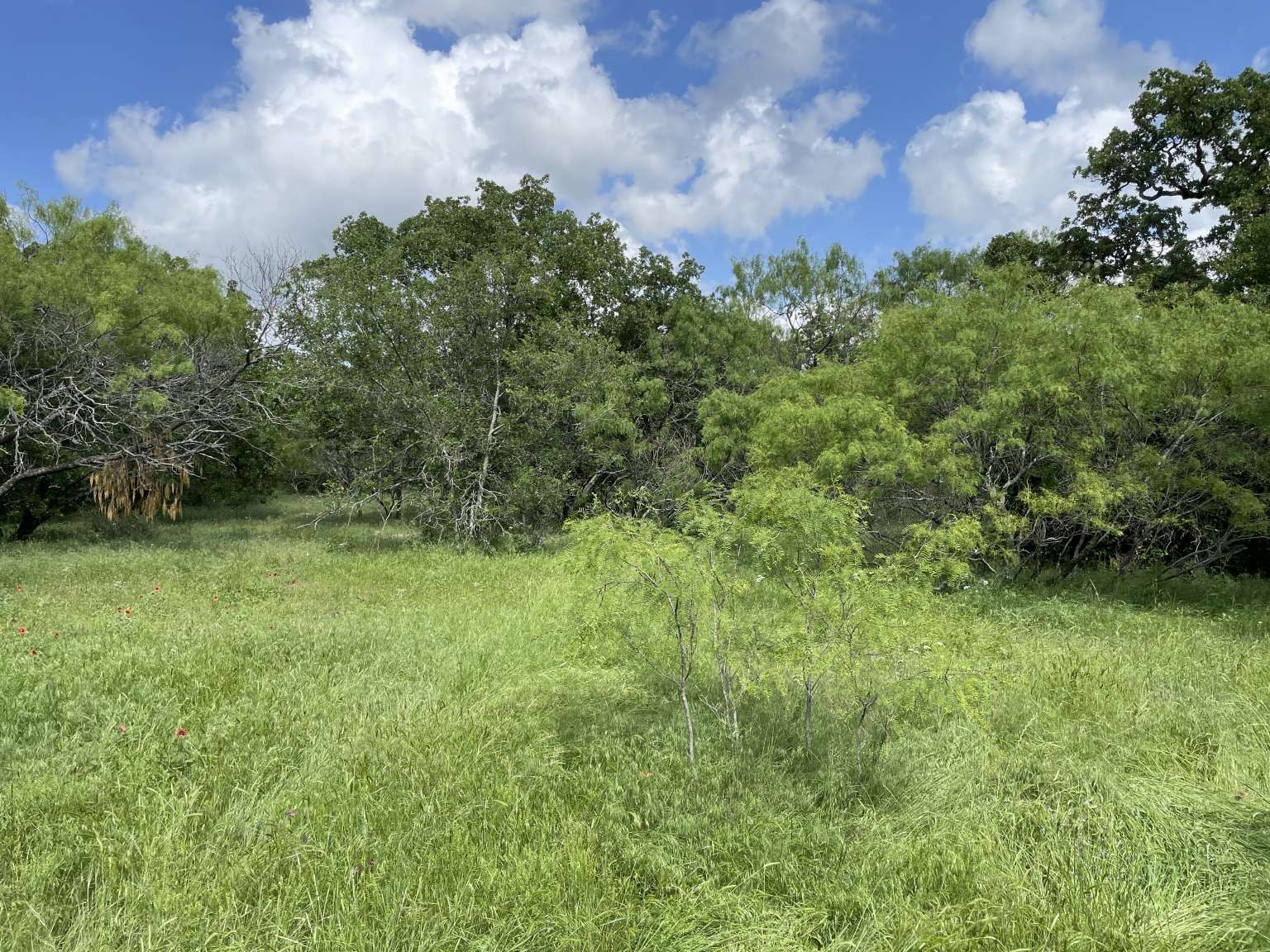0 Cr-1990, Chico, TX, 76431 | 20978884 | Realty Texas LLC