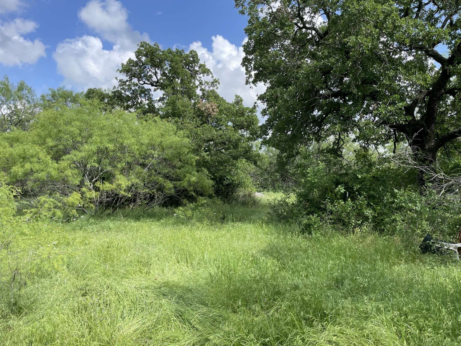 0 Cr-1990, Chico, TX, 76431 | 20978884 | Realty Texas LLC