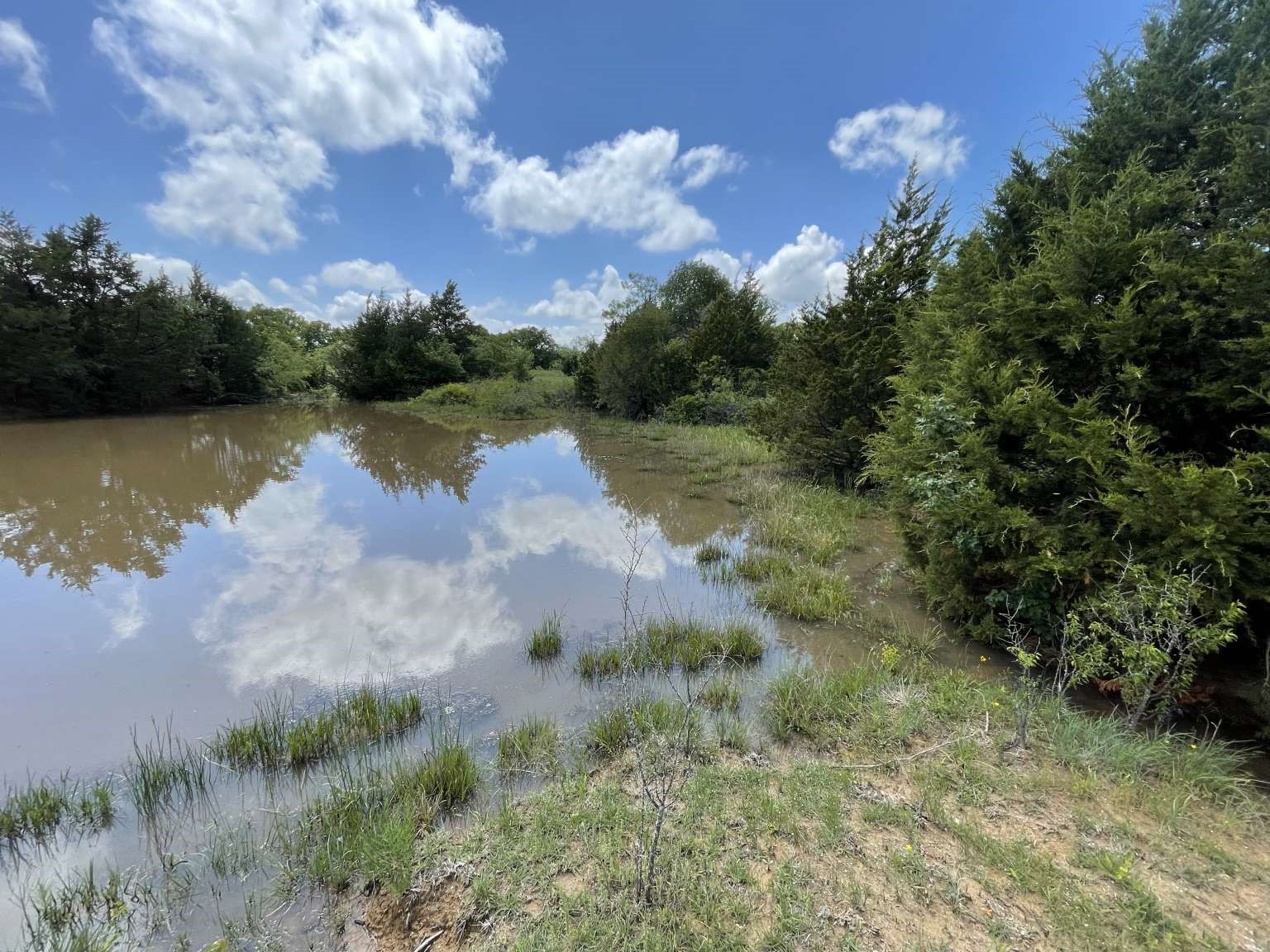 0 Cr-1990, Chico, TX, 76431 | 20978884 | Realty Texas LLC