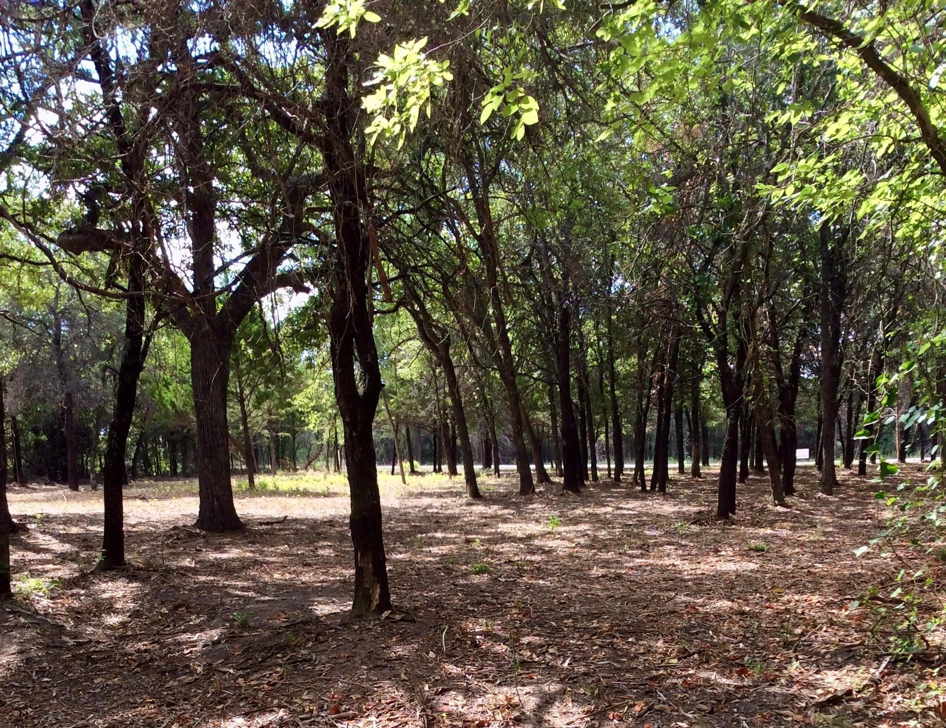 057 Blackjack Parkway, Nocona, TX, 76255 | 20979159 | Realty Texas LLC