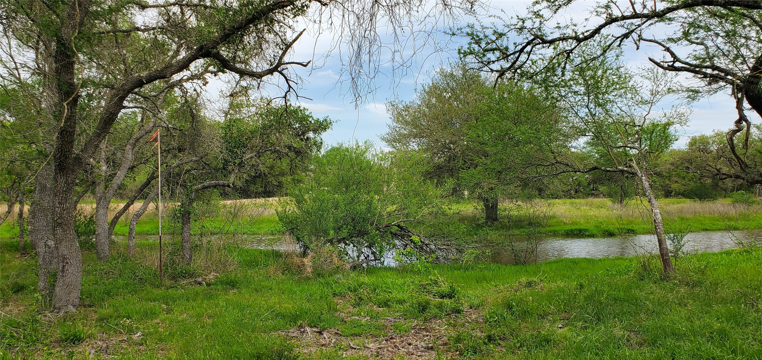 TBD Specklebelly Lane Lot 252, Columbus, TX, 78934 | 91301239 | Realty Texas LLC