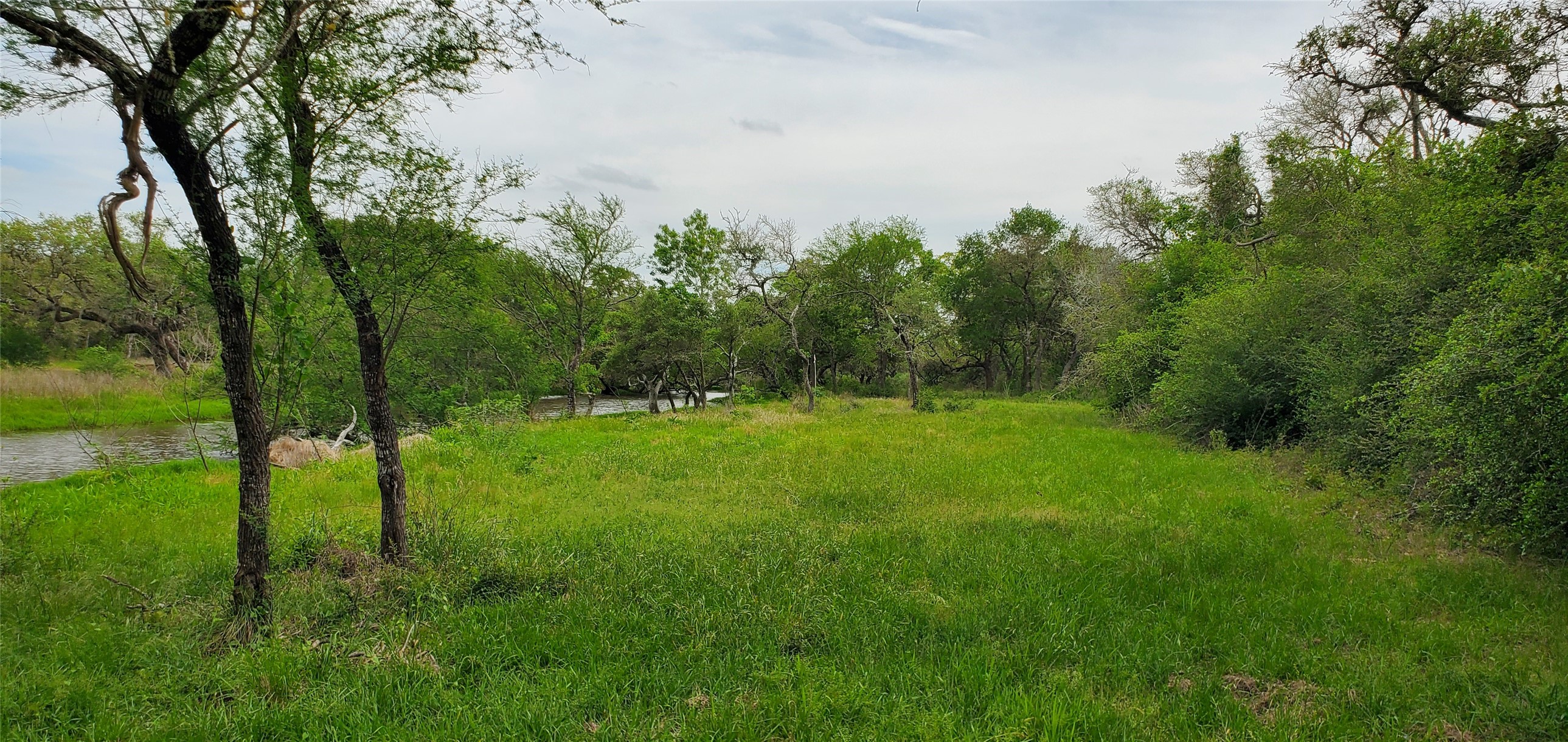 TBD Specklebelly Lane Lot 252, Columbus, TX, 78934 | 91301239 | Realty Texas LLC