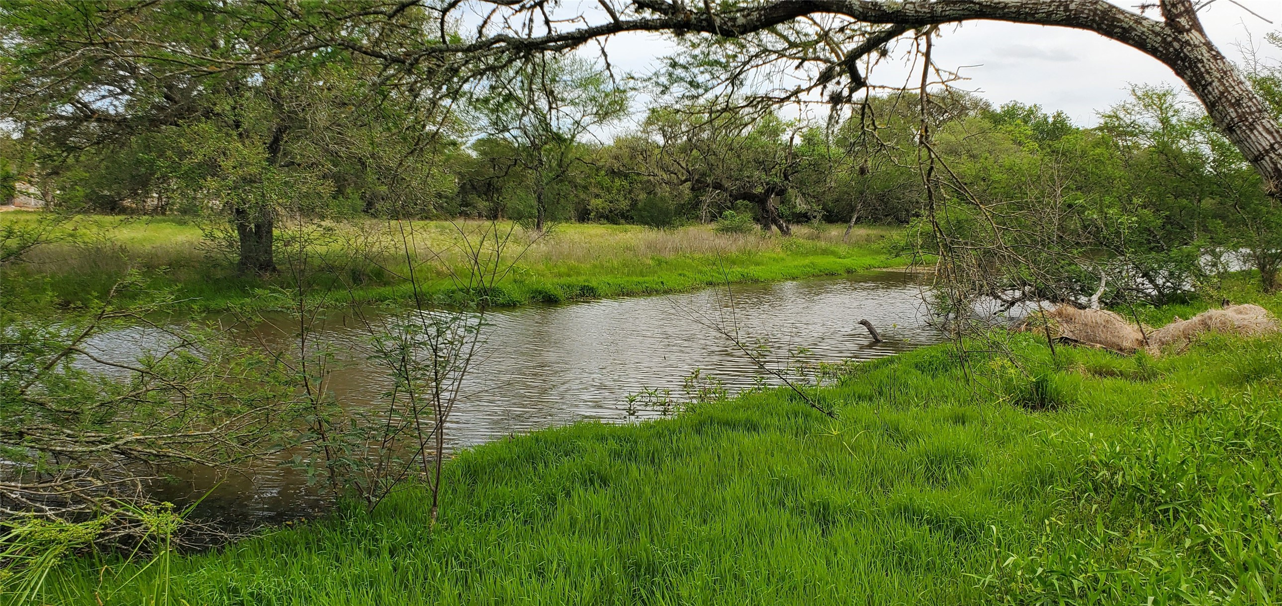 TBD Specklebelly Lane Lot 252, Columbus, TX, 78934 | 91301239 | Realty Texas LLC