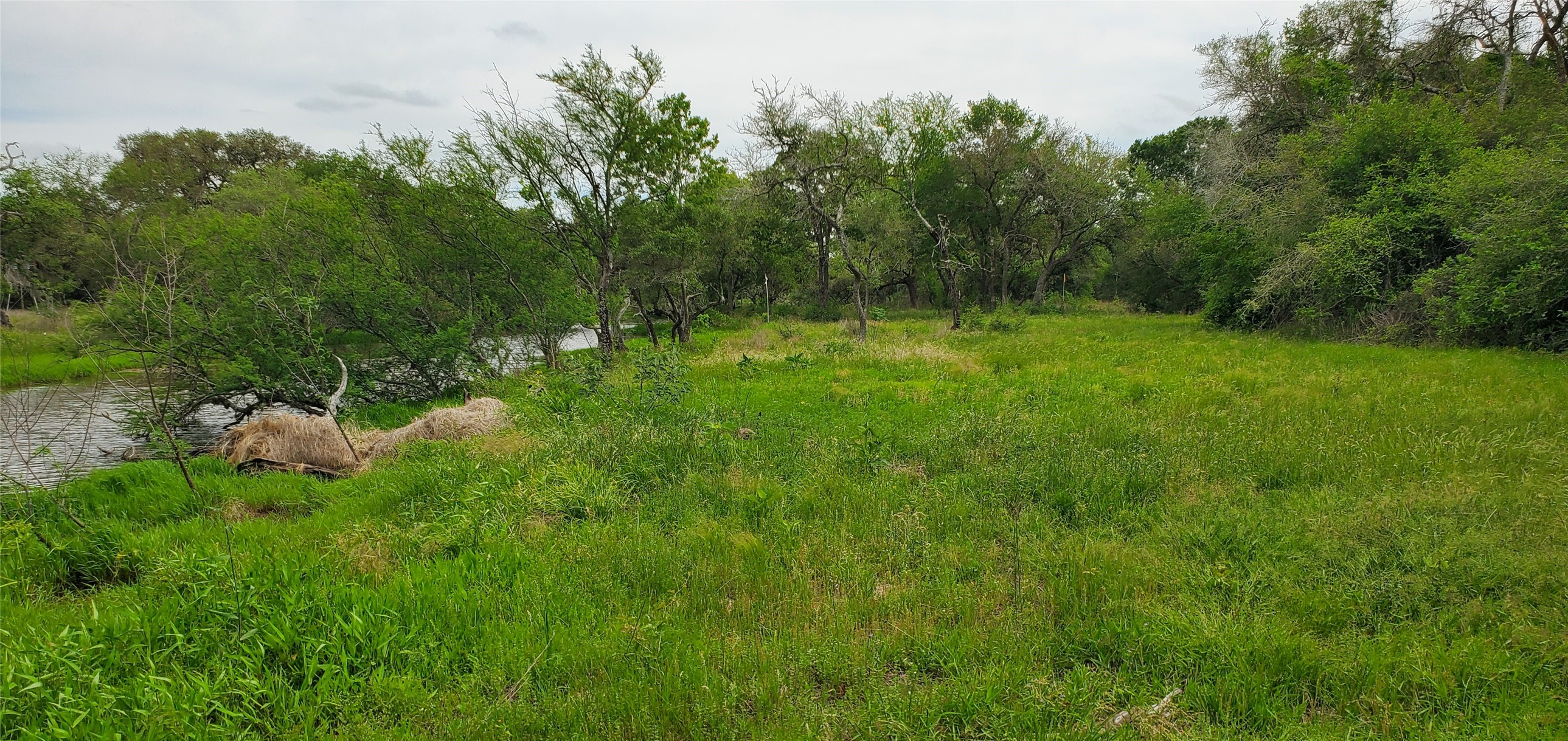 TBD Specklebelly Lane Lot 252, Columbus, TX, 78934 | 91301239 | Realty Texas LLC