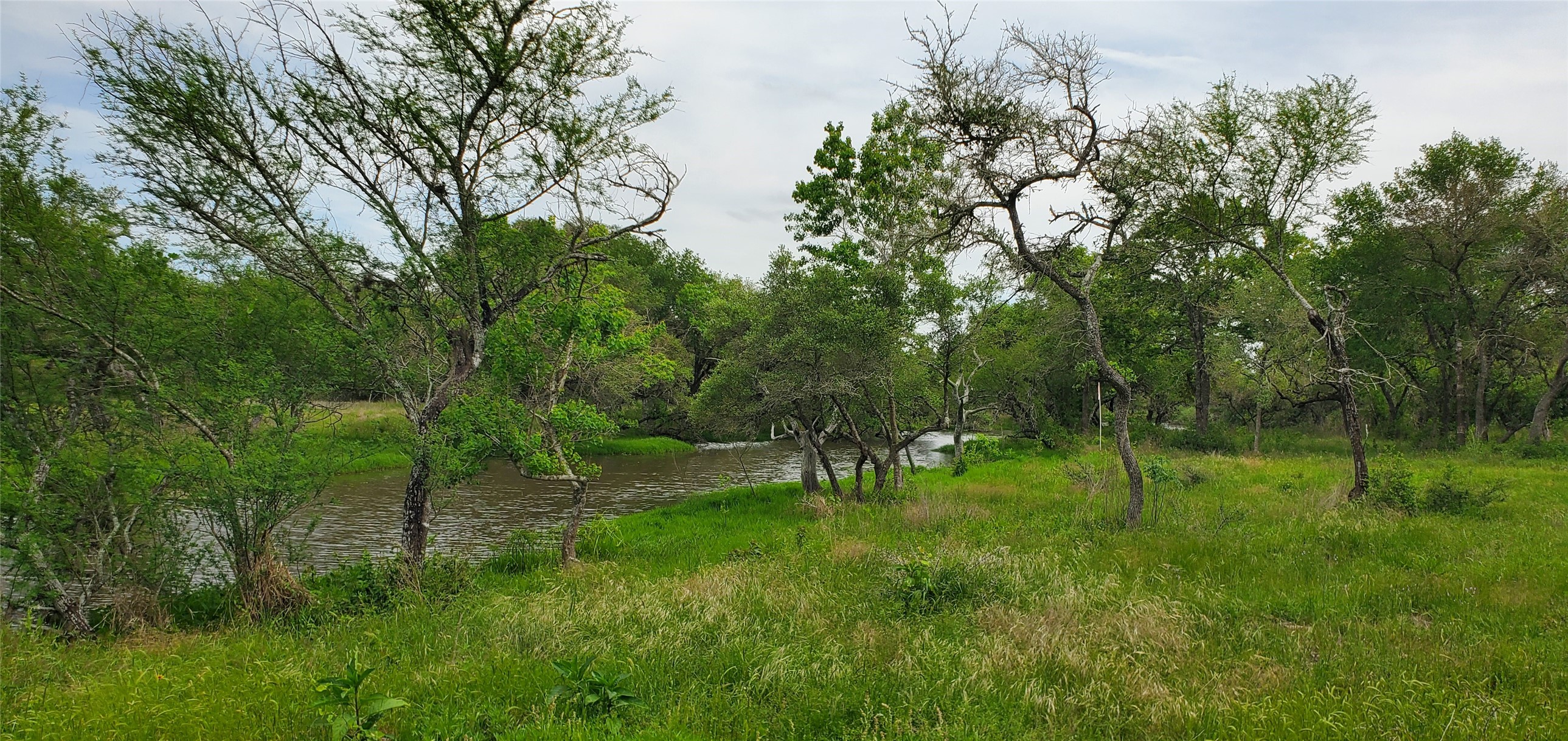 TBD Specklebelly Lane Lot 252, Columbus, TX, 78934 | 91301239 | Realty Texas LLC