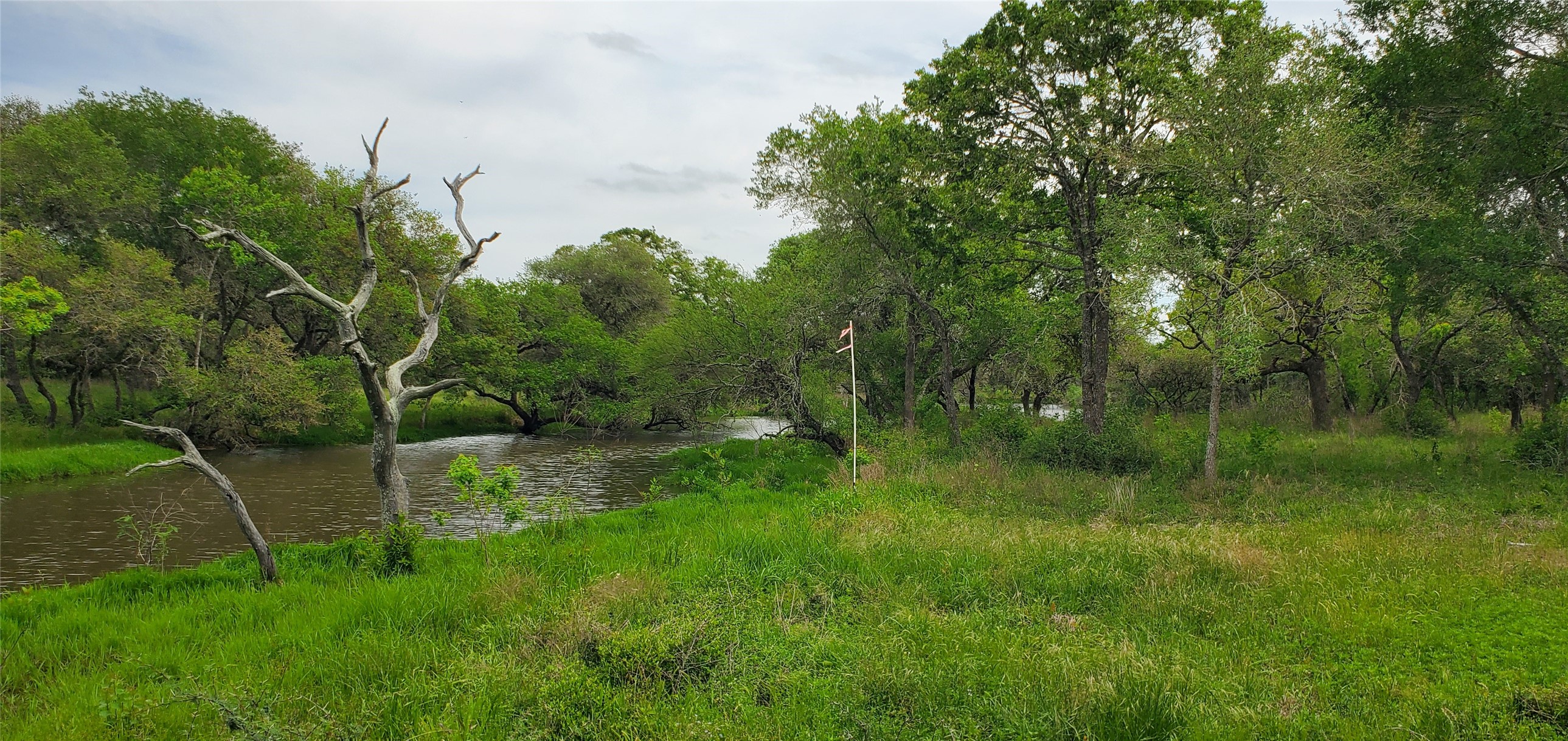 TBD Specklebelly Lane Lot 252, Columbus, TX, 78934 | 91301239 | Realty Texas LLC