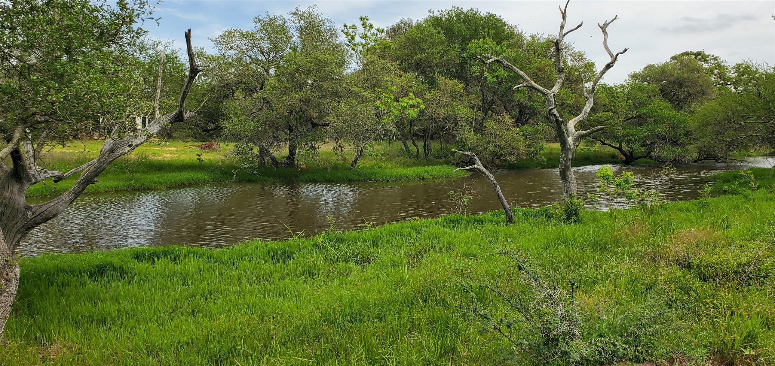 TBD Specklebelly Lane Lot 252, Columbus, TX, 78934 | 91301239 | Realty Texas LLC