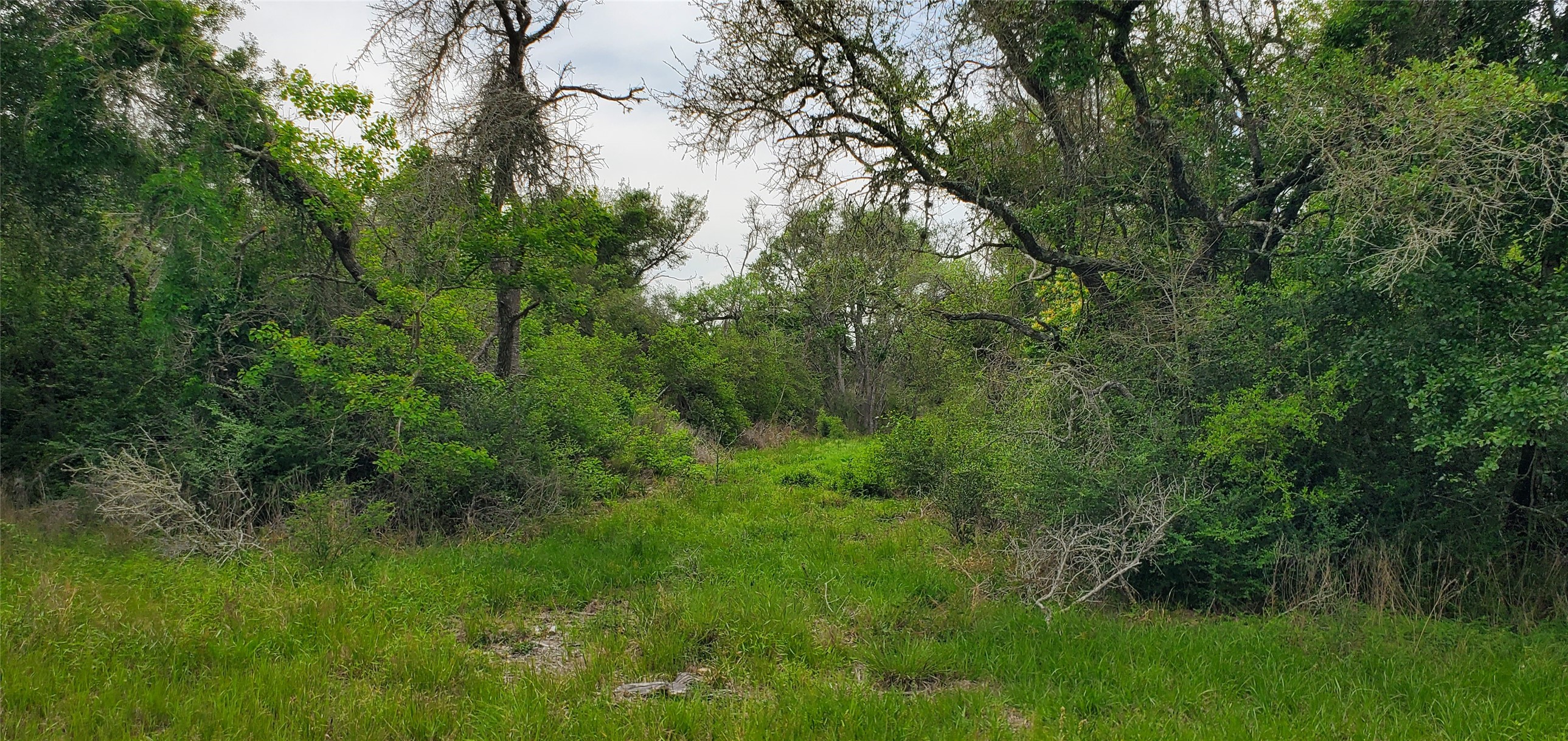 TBD Specklebelly Lane Lot 252, Columbus, TX, 78934 | 91301239 | Realty Texas LLC