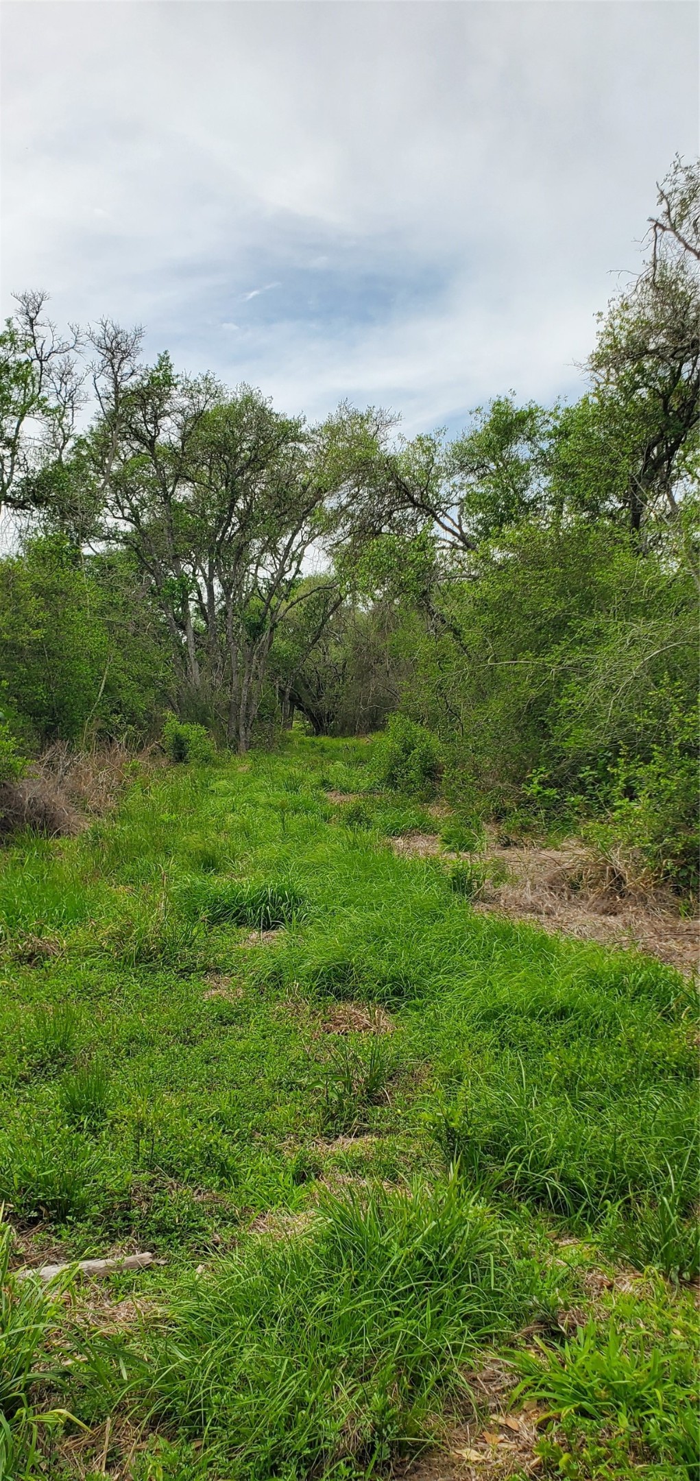 TBD Specklebelly Lane Lot 252, Columbus, TX, 78934 | 91301239 | Realty Texas LLC