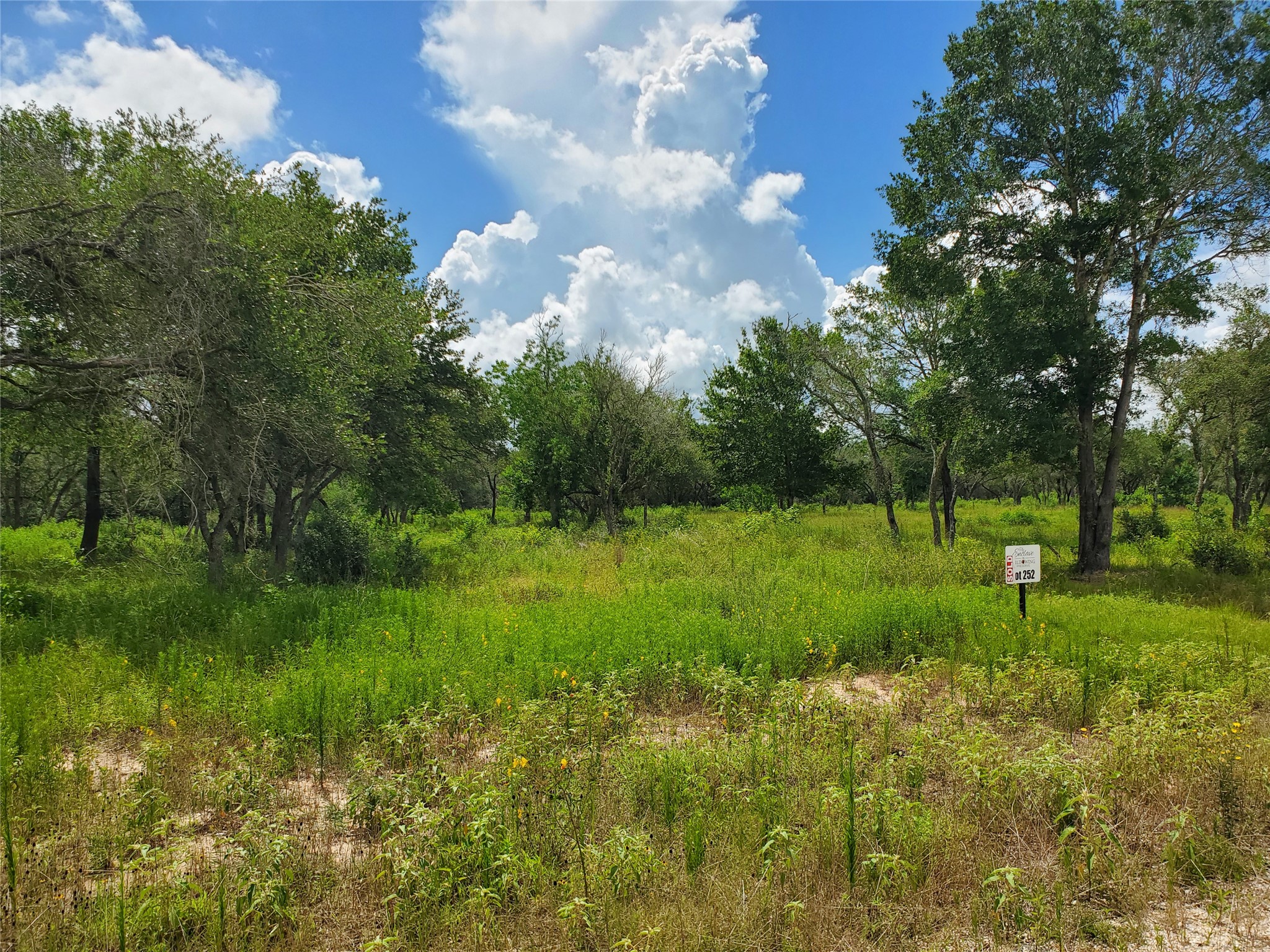 TBD Specklebelly Lane Lot 252, Columbus, TX, 78934 | 91301239 | Realty Texas LLC