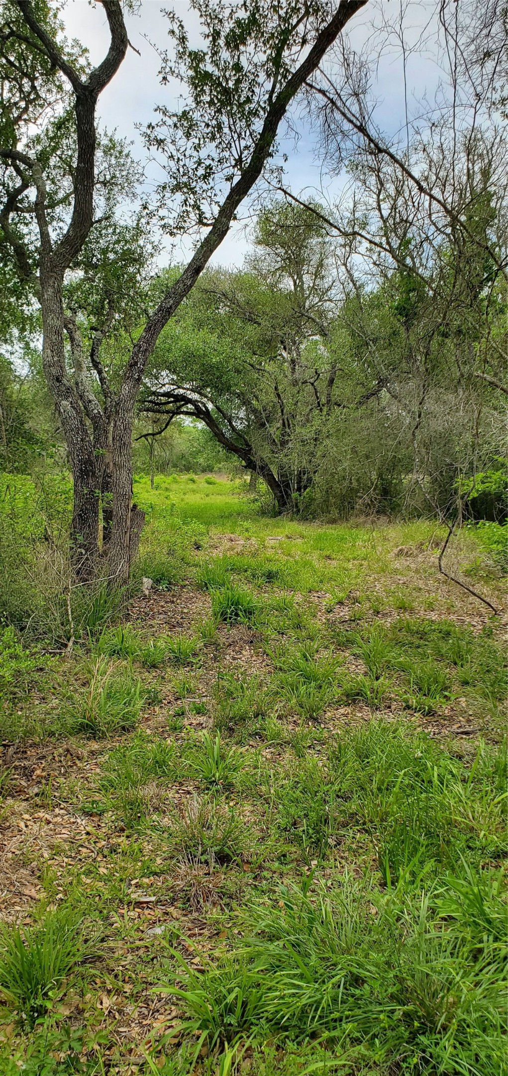 TBD Specklebelly Lane Lot 252, Columbus, TX, 78934 | 91301239 | Realty Texas LLC
