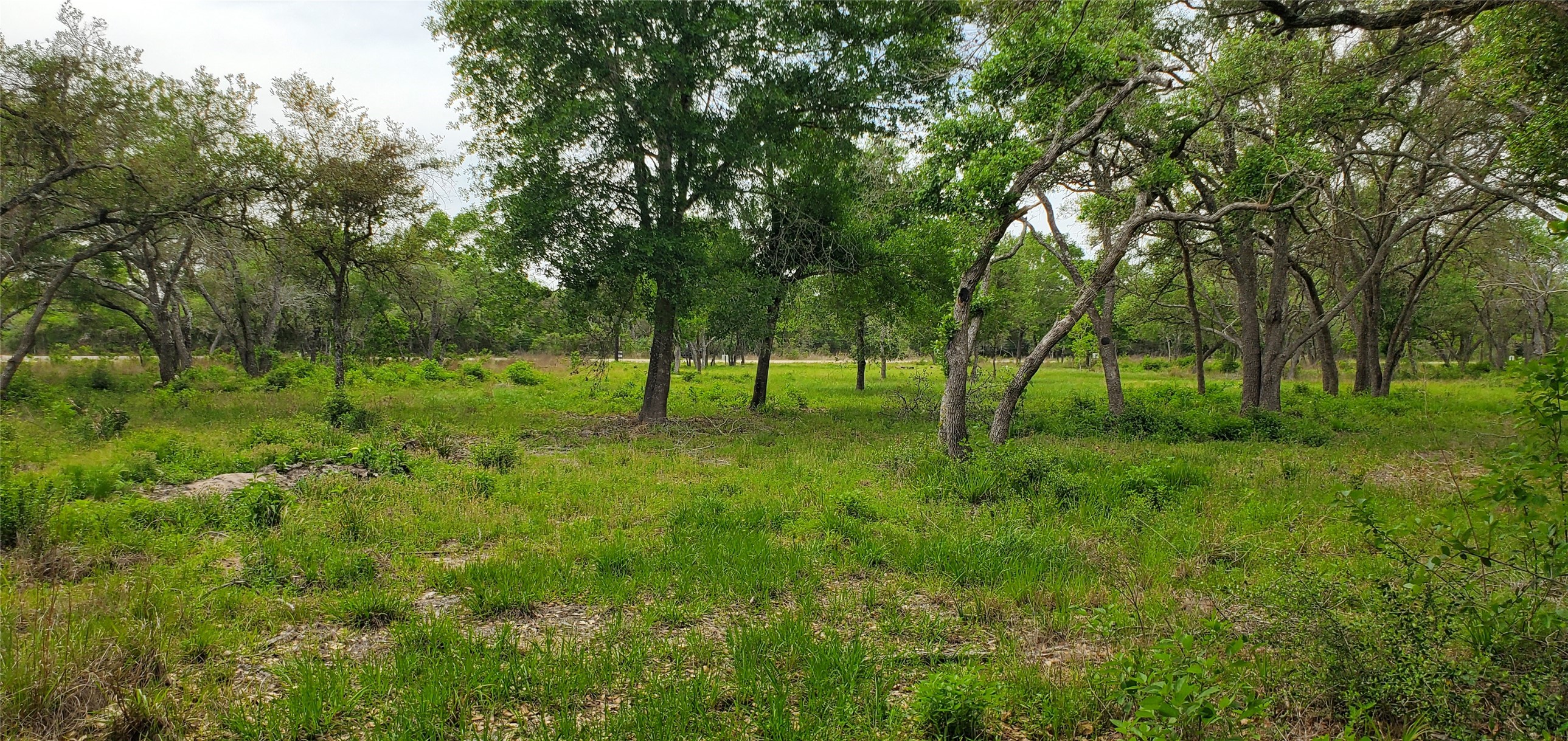TBD Specklebelly Lane Lot 252, Columbus, TX, 78934 | 91301239 | Realty Texas LLC