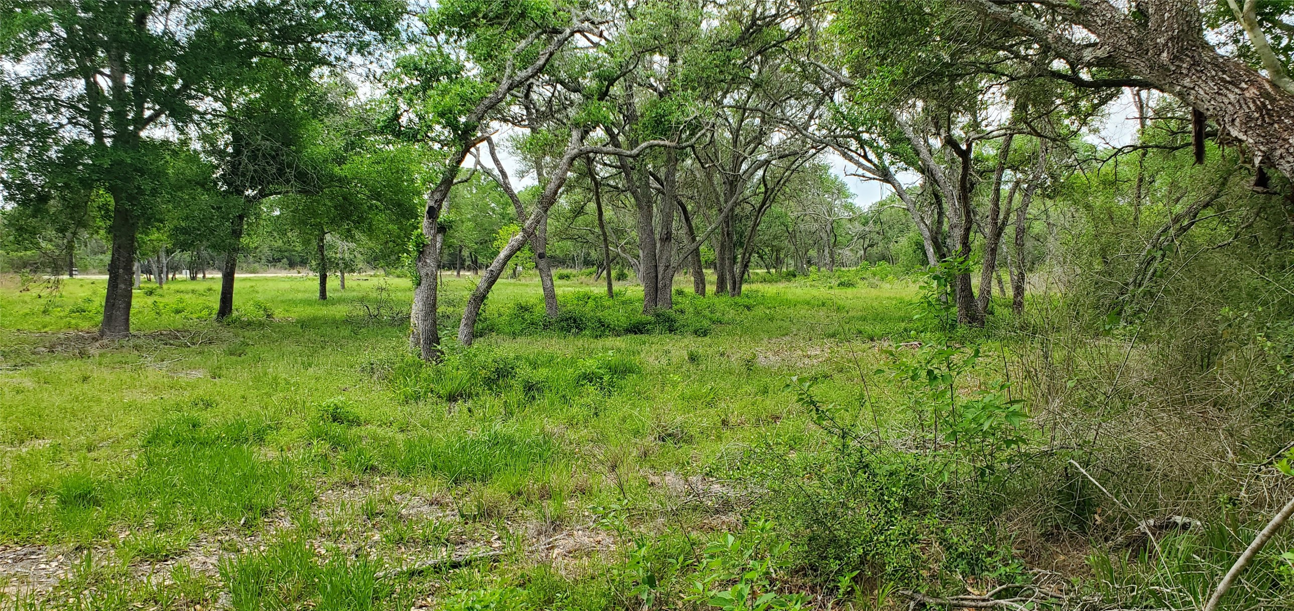 TBD Specklebelly Lane Lot 252, Columbus, TX, 78934 | 91301239 | Realty Texas LLC