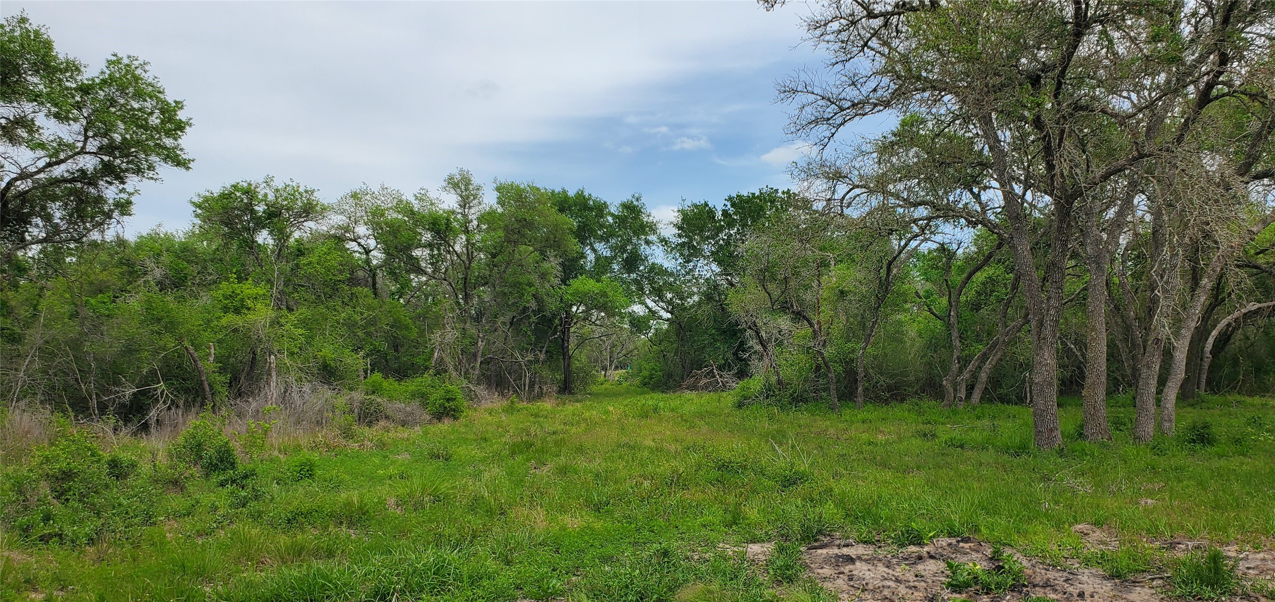 TBD Specklebelly Lane Lot 252, Columbus, TX, 78934 | 91301239 | Realty Texas LLC
