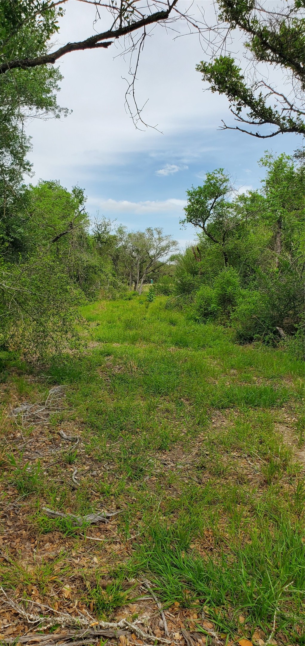 TBD Specklebelly Lane Lot 252, Columbus, TX, 78934 | 91301239 | Realty Texas LLC
