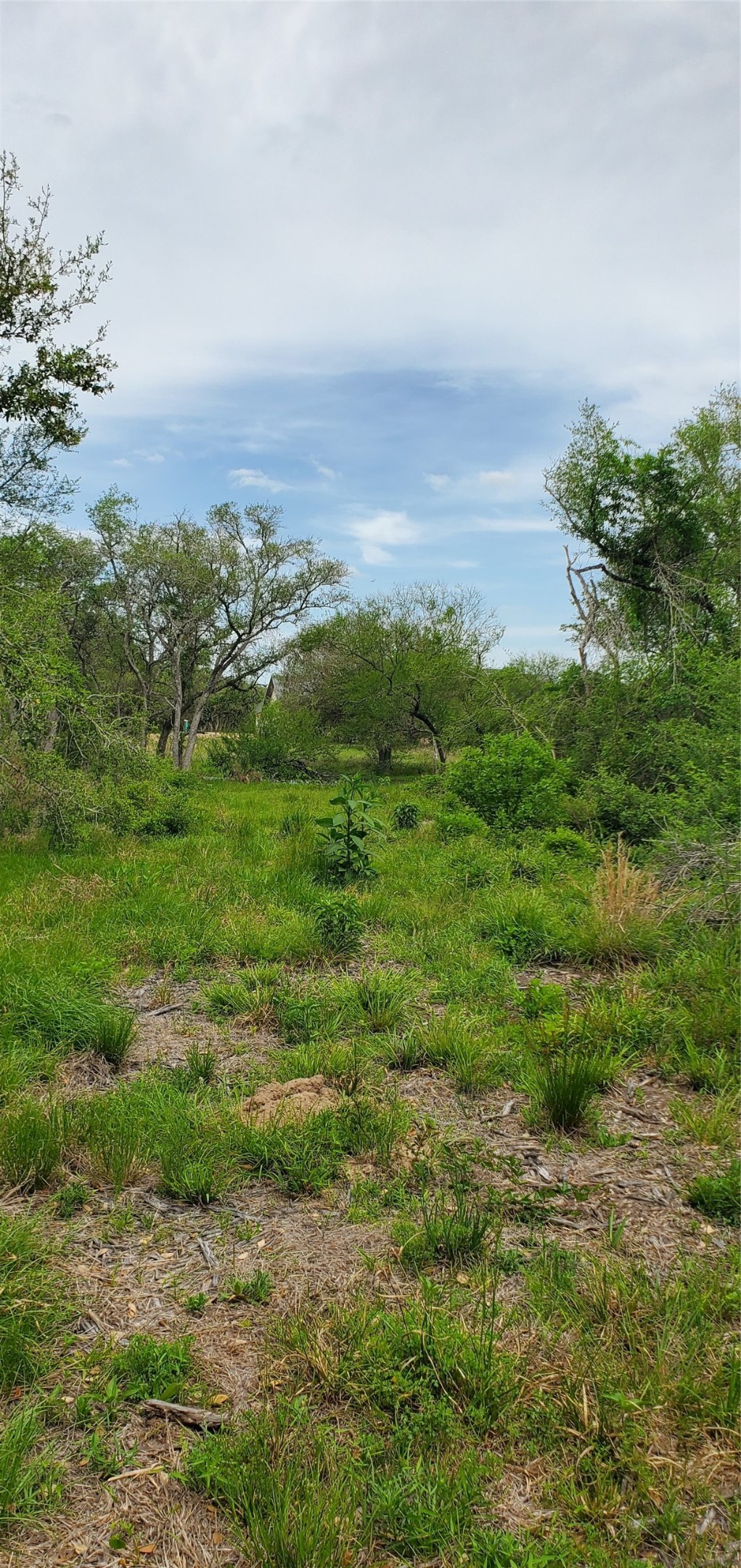 TBD Specklebelly Lane Lot 252, Columbus, TX, 78934 | 91301239 | Realty Texas LLC