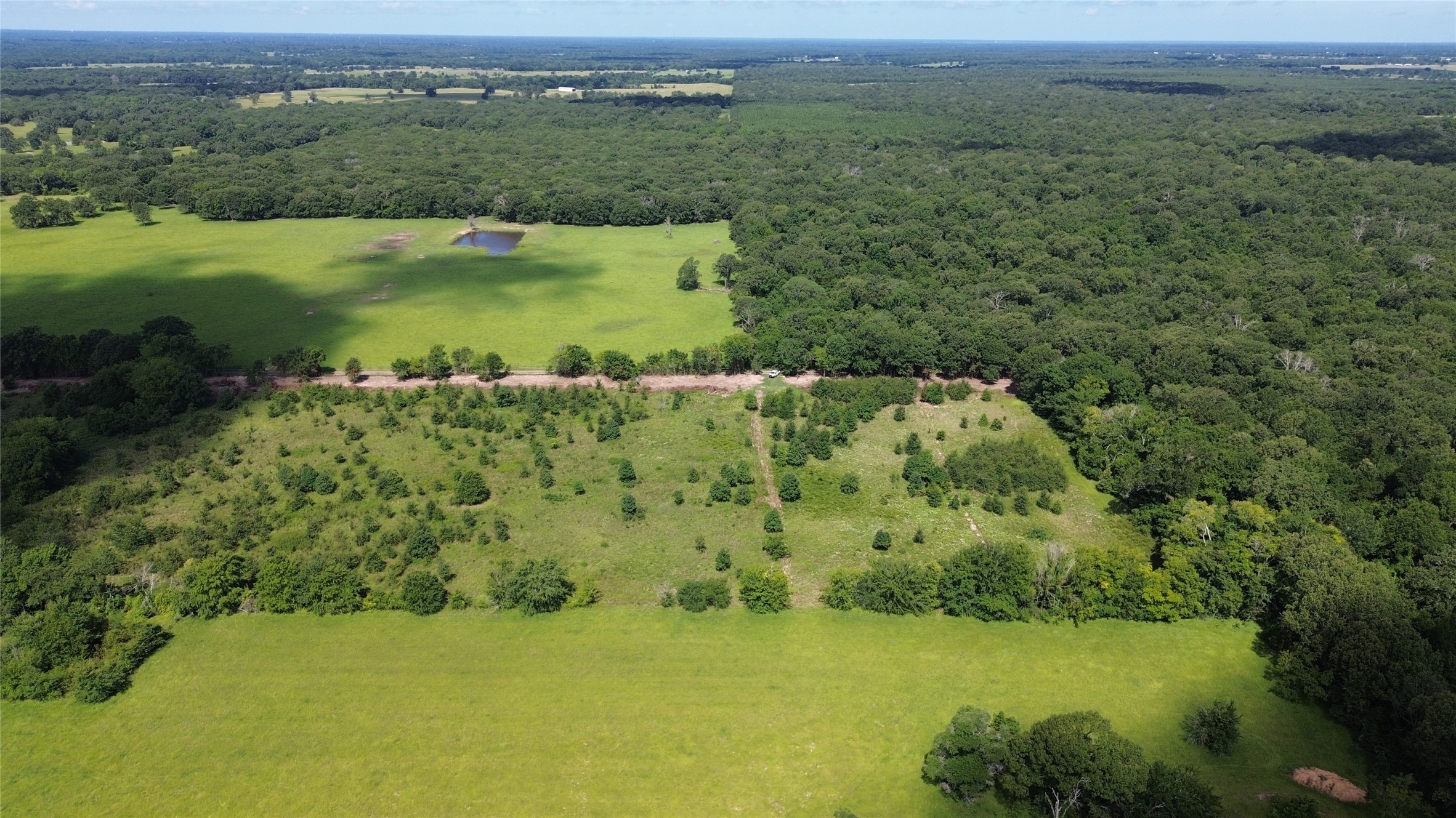 Lot 1 Rs County Road 2470, Emory, TX, 75440 | 20979409 | Realty Texas LLC